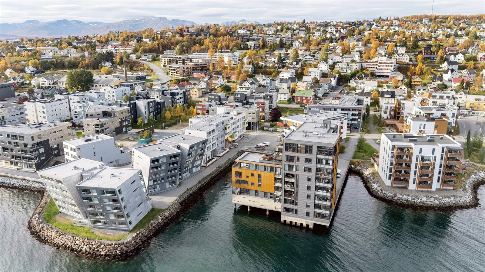 Velkommen på visning! Galleribilde