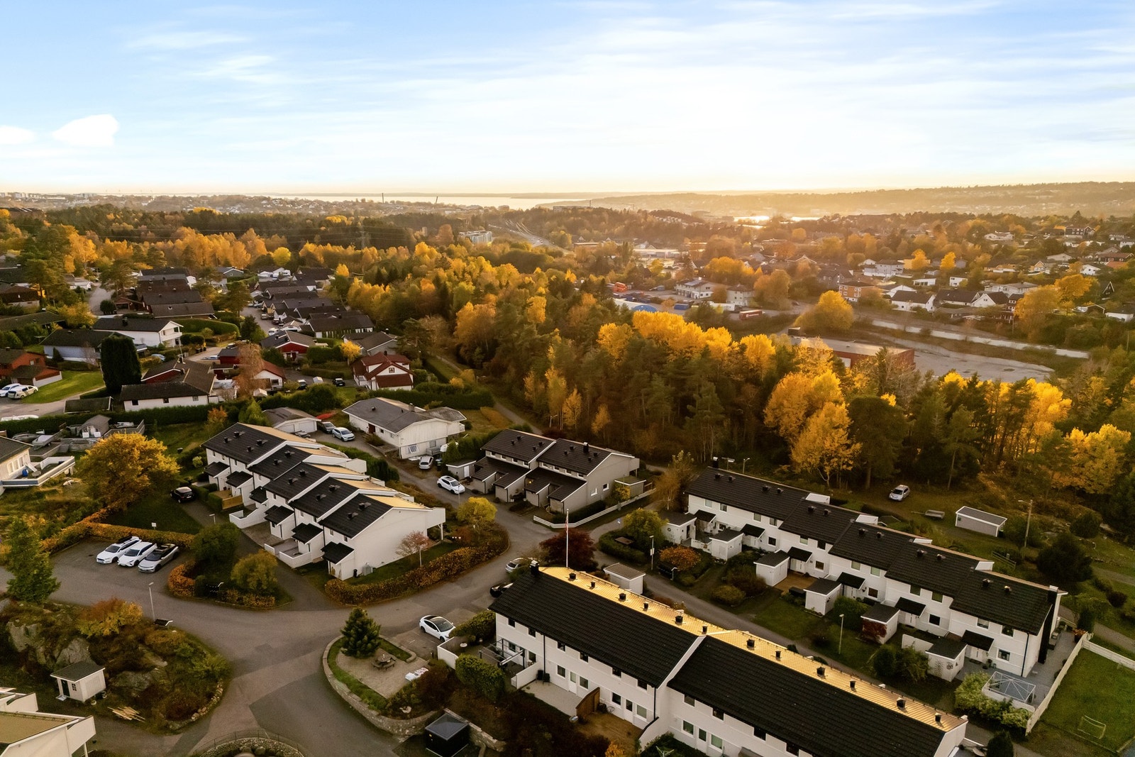 Velkommen til visning! Galleribilde