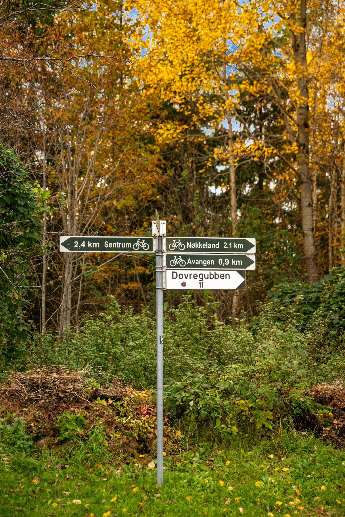 Kort vei til fine turområder Galleribilde