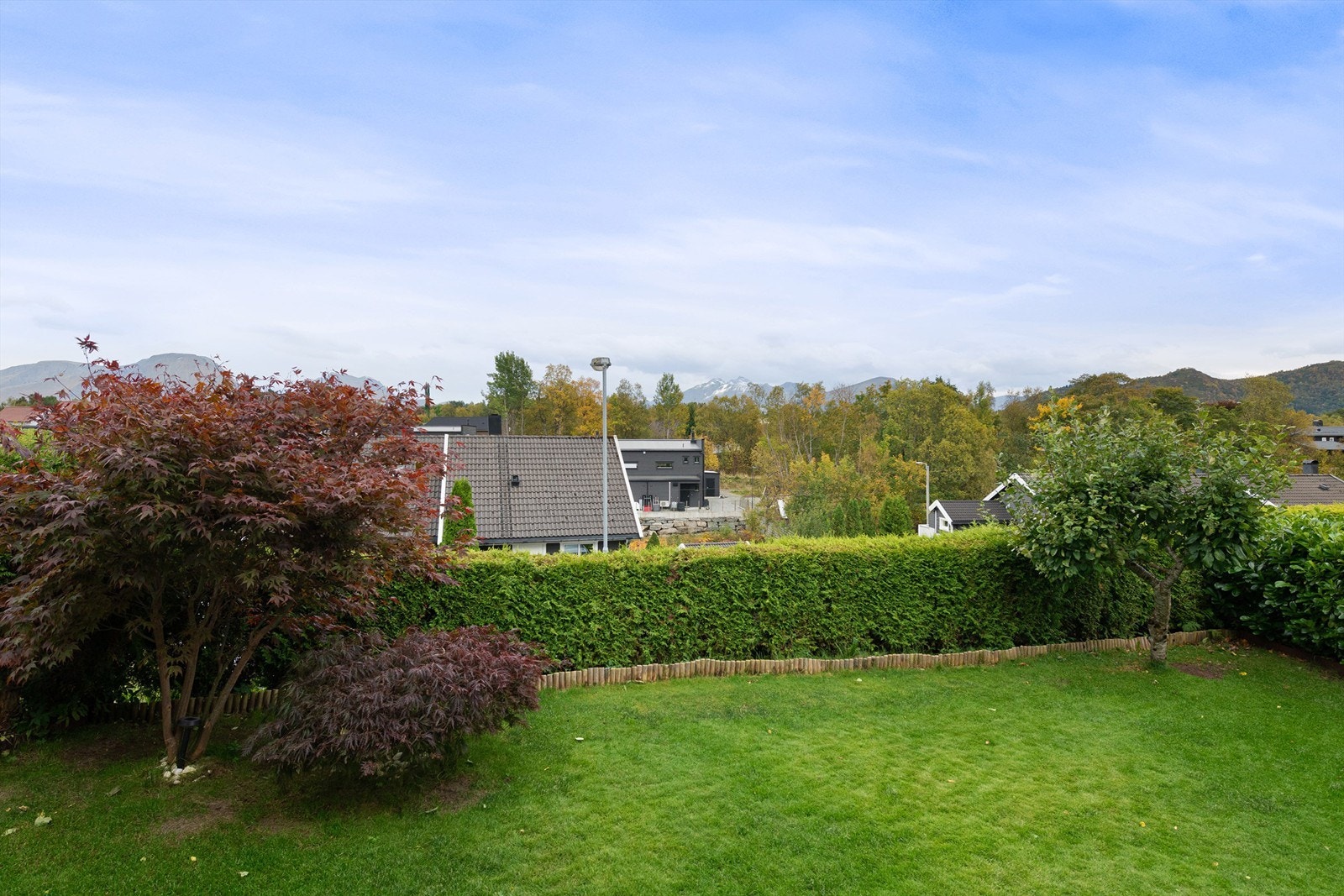 Pent opparbeidet og skjermet hage med hekk Galleribilde