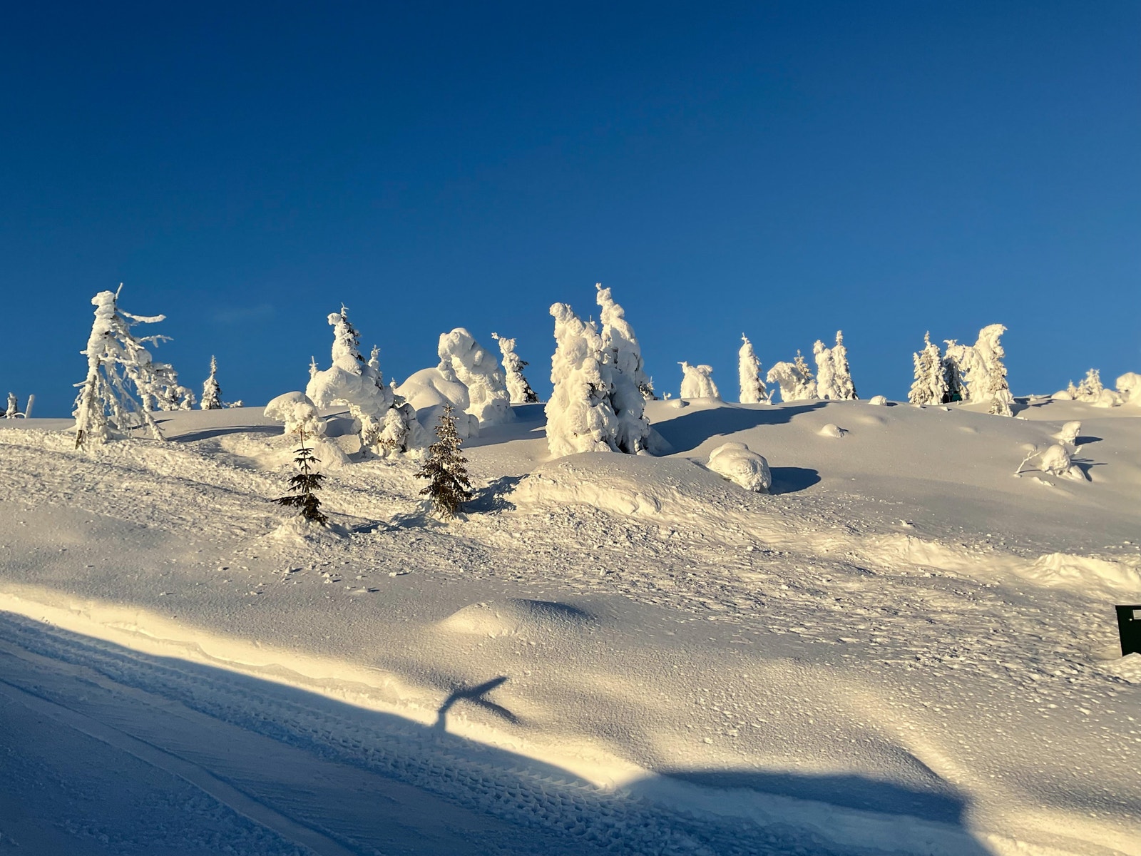 Vinteridyll Galleribilde