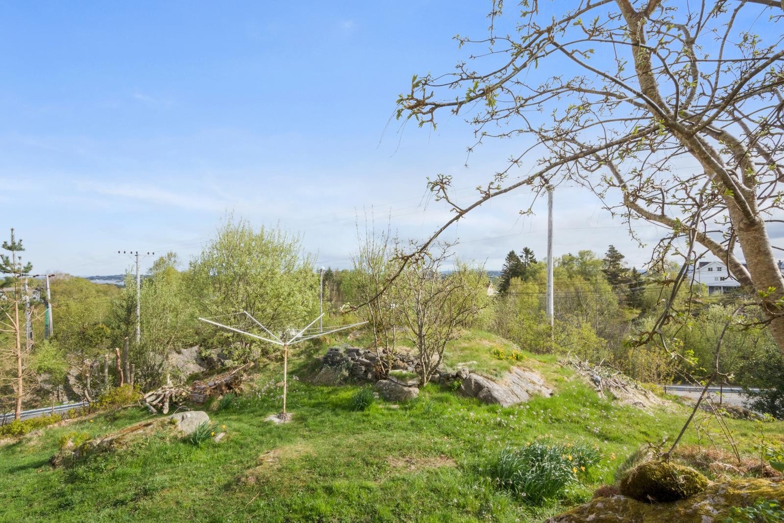 Stort uteområde med fin utsikt Galleribilde