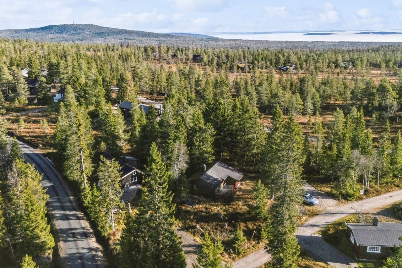 Med Budor Skianlegg kun 3 minutter unna er dette et eldorado for ski-entusiaster. Galleribilde