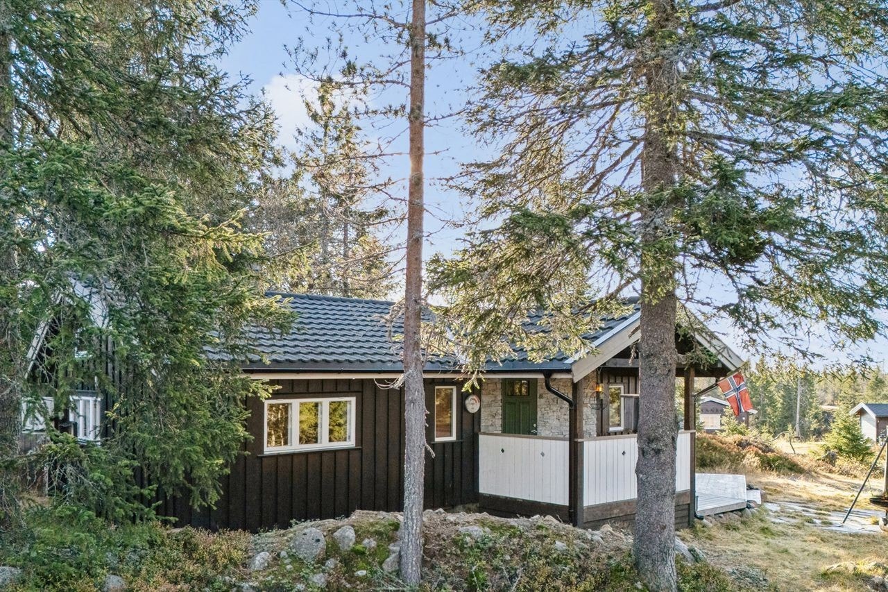 Det er helårsveg til hytta og god plass til parkering utenfor hytta. Galleribilde