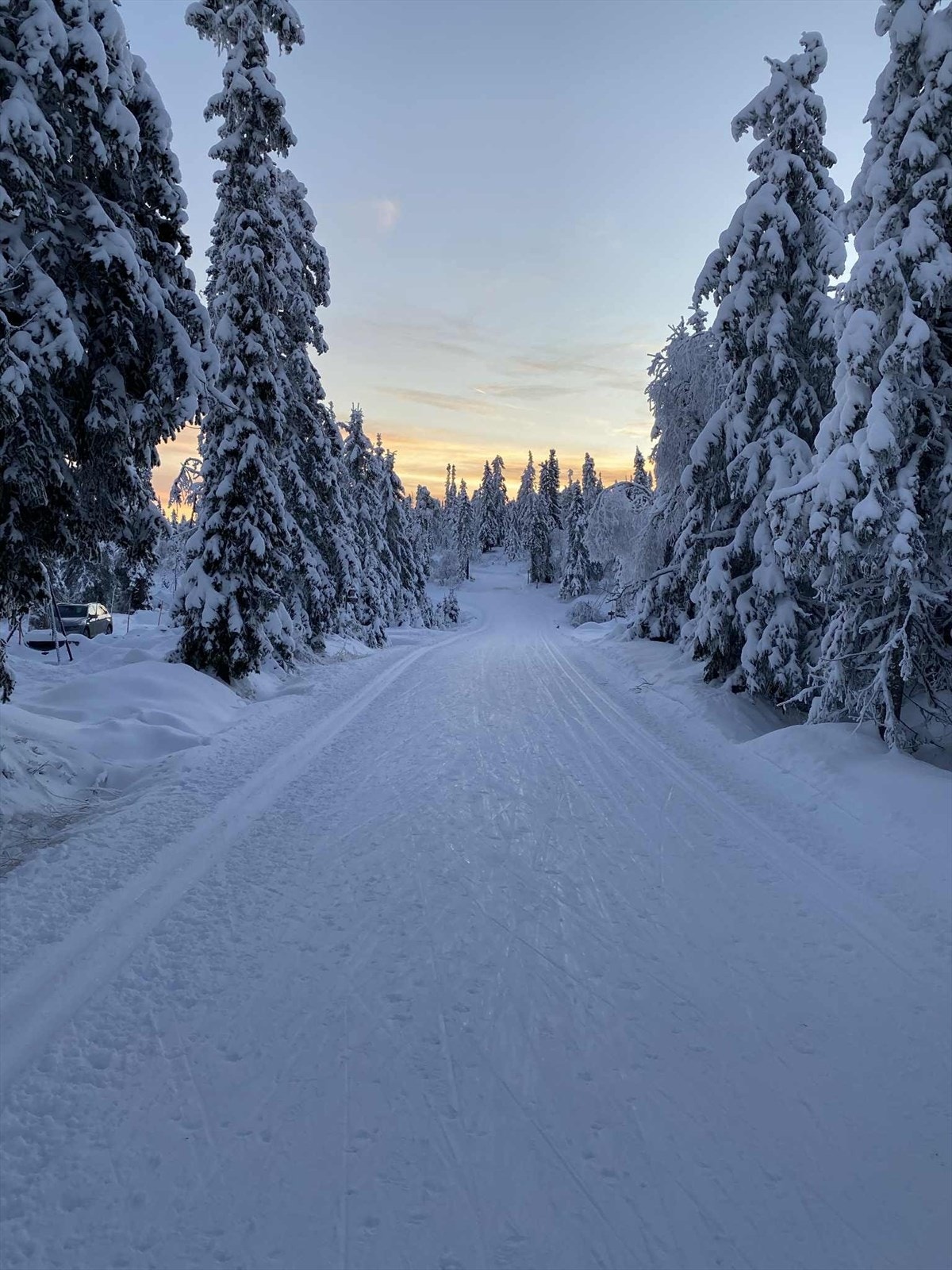Her kan man gå rett ut i skiløypa. Det er milevis med meget gode løypetraseer for både klassisk stil og friteknikk i et snøsikkert område Galleribilde