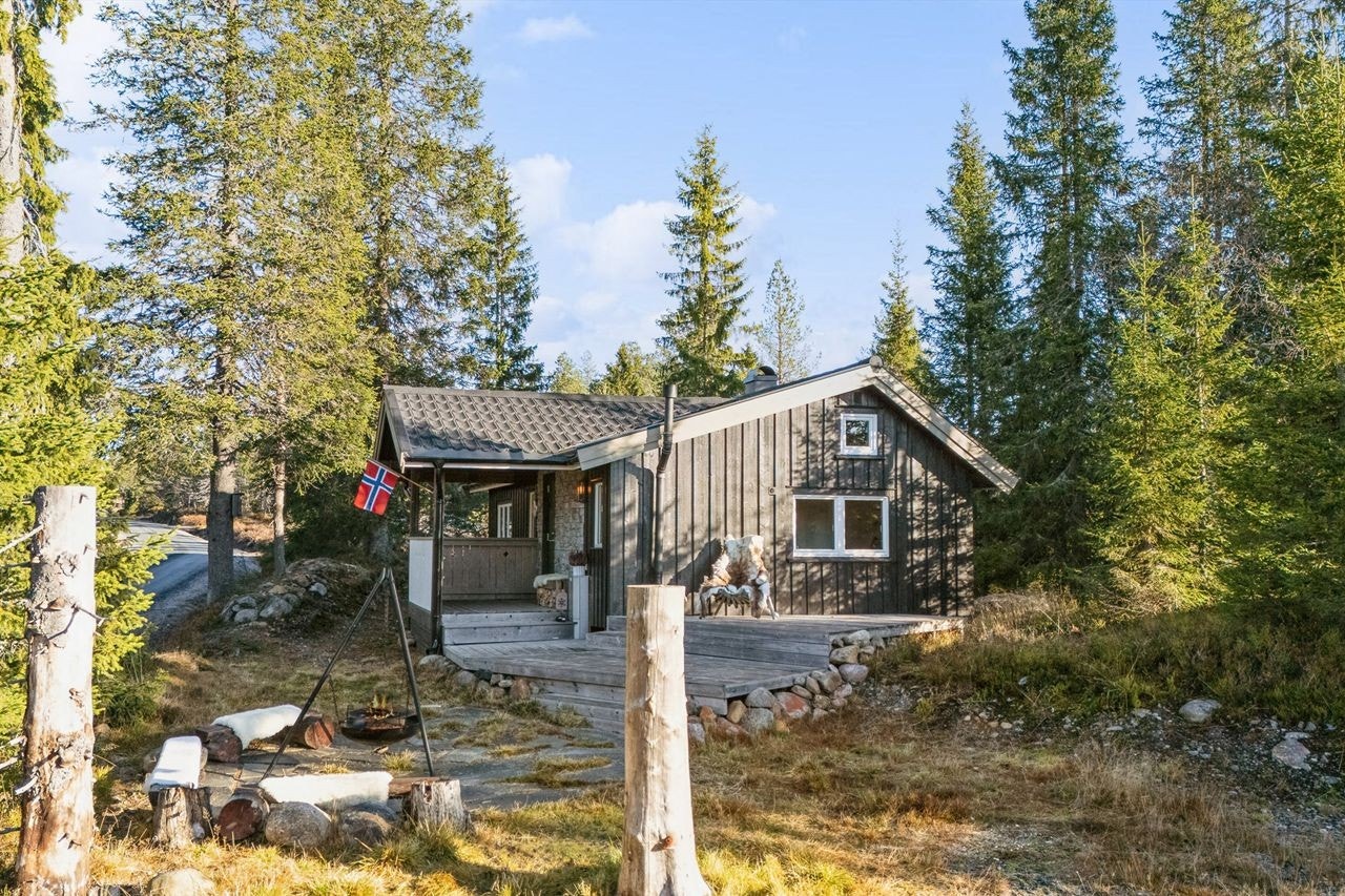 Eiendommen ligger usjenert til, omgitt av skog og natur. Galleribilde