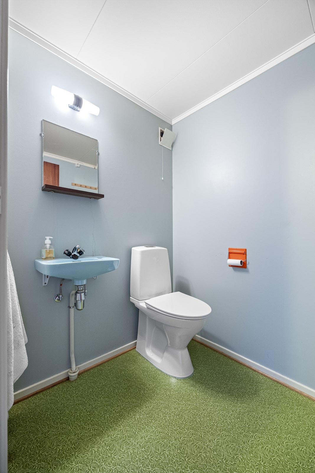 Gjestetoalett. Galleribilde