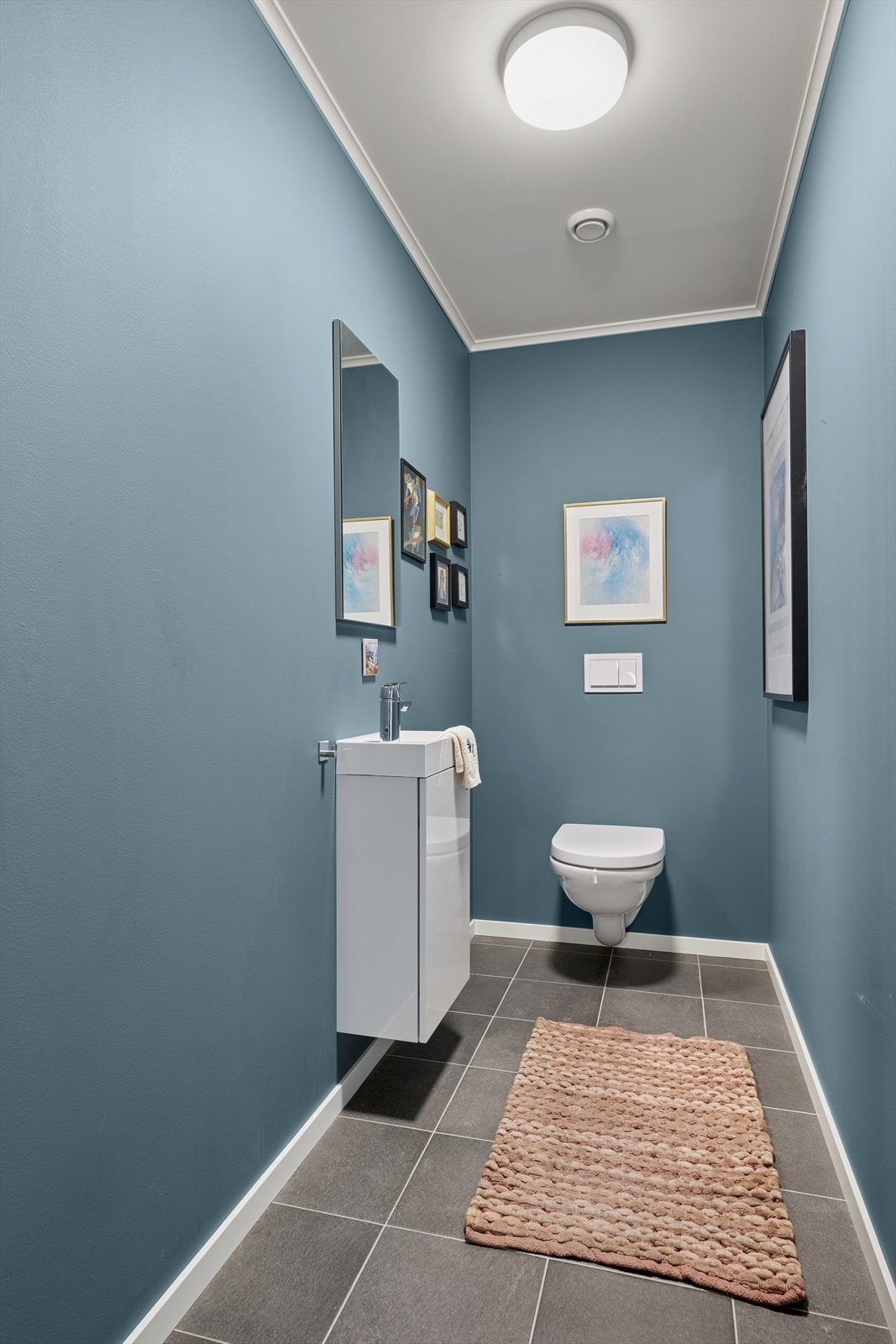 - Toalettrom med fliser på gulv og malte glatte flater på vegger - Galleribilde