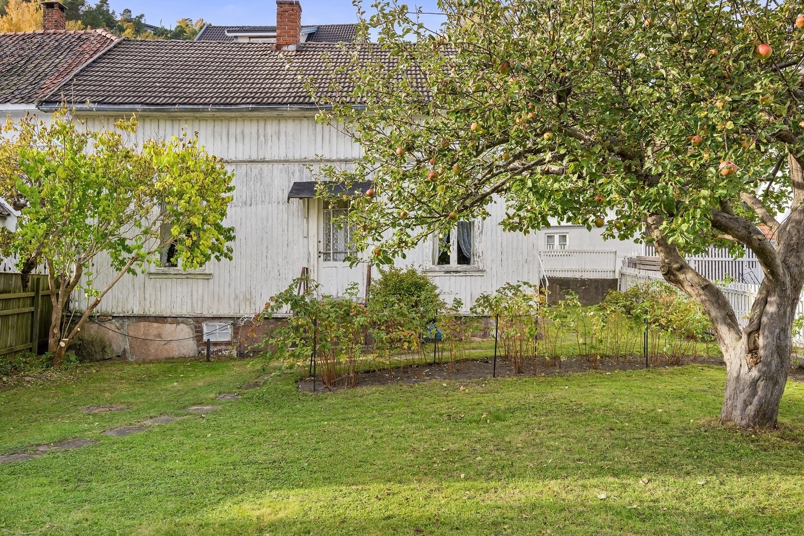 Frodig hage med epletre Galleribilde