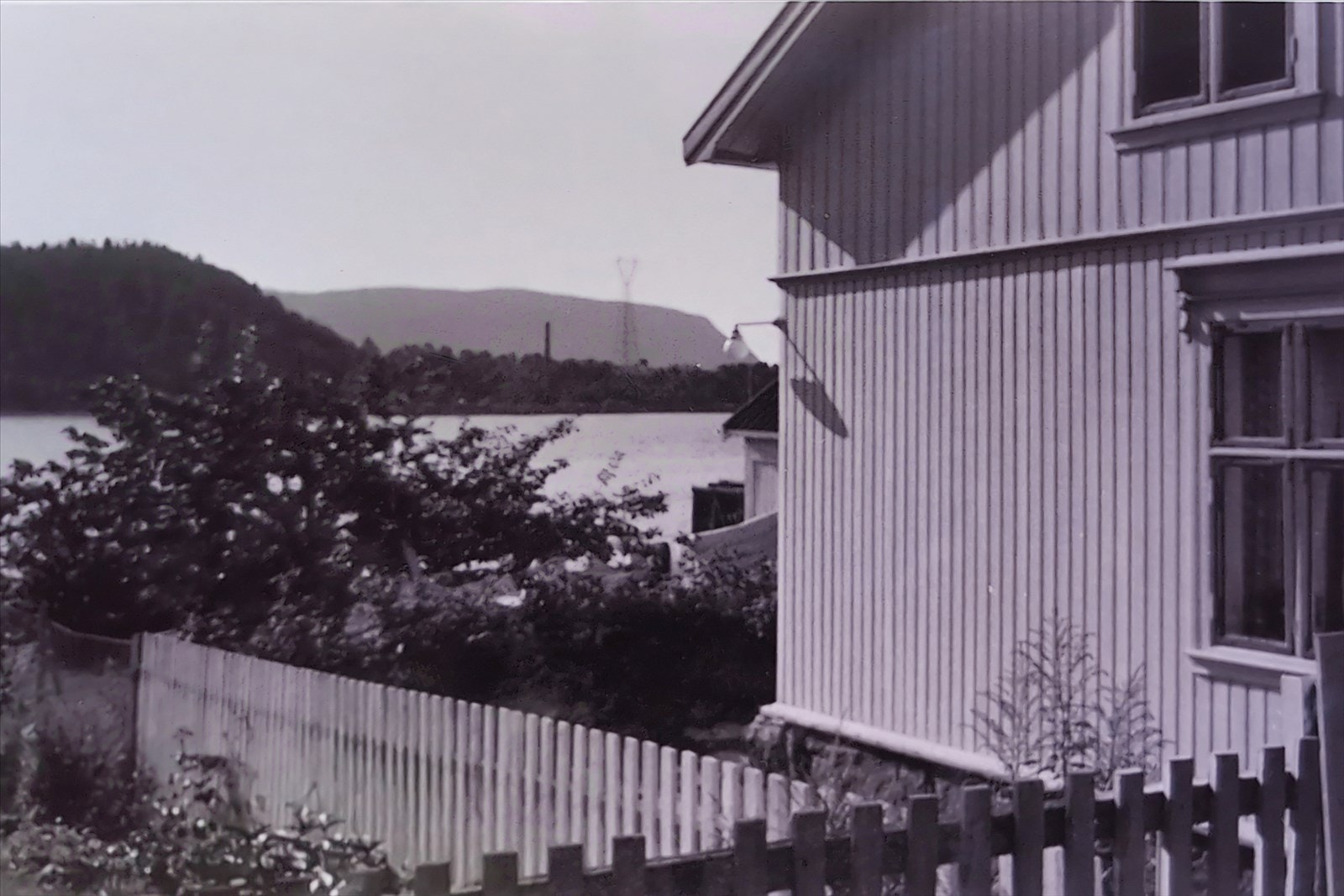 Epletreet har alder. Bilde fra 1968 Galleribilde