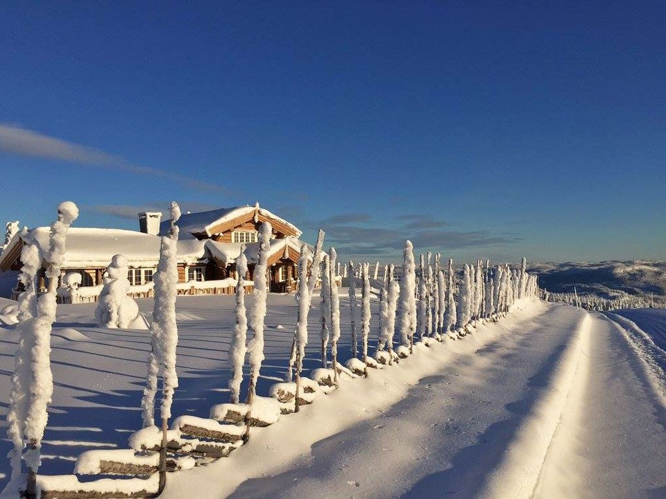 Seterstemning Galleribilde