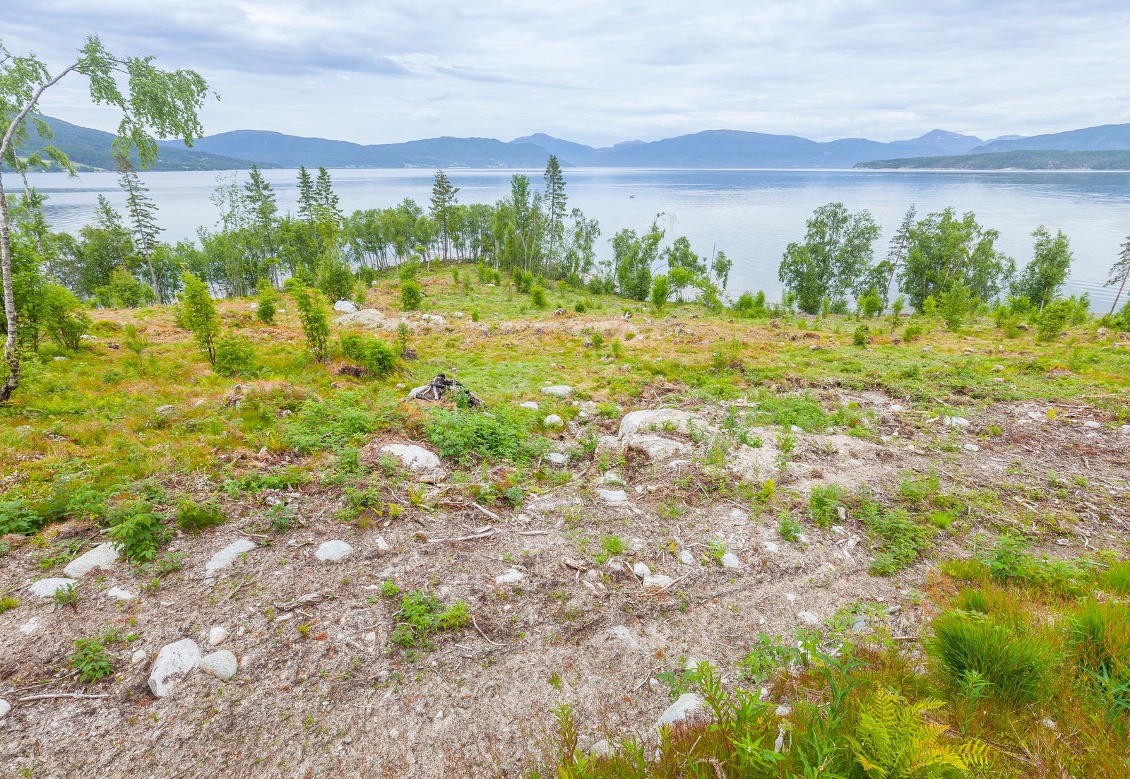 Tont nr. 3 Galleribilde