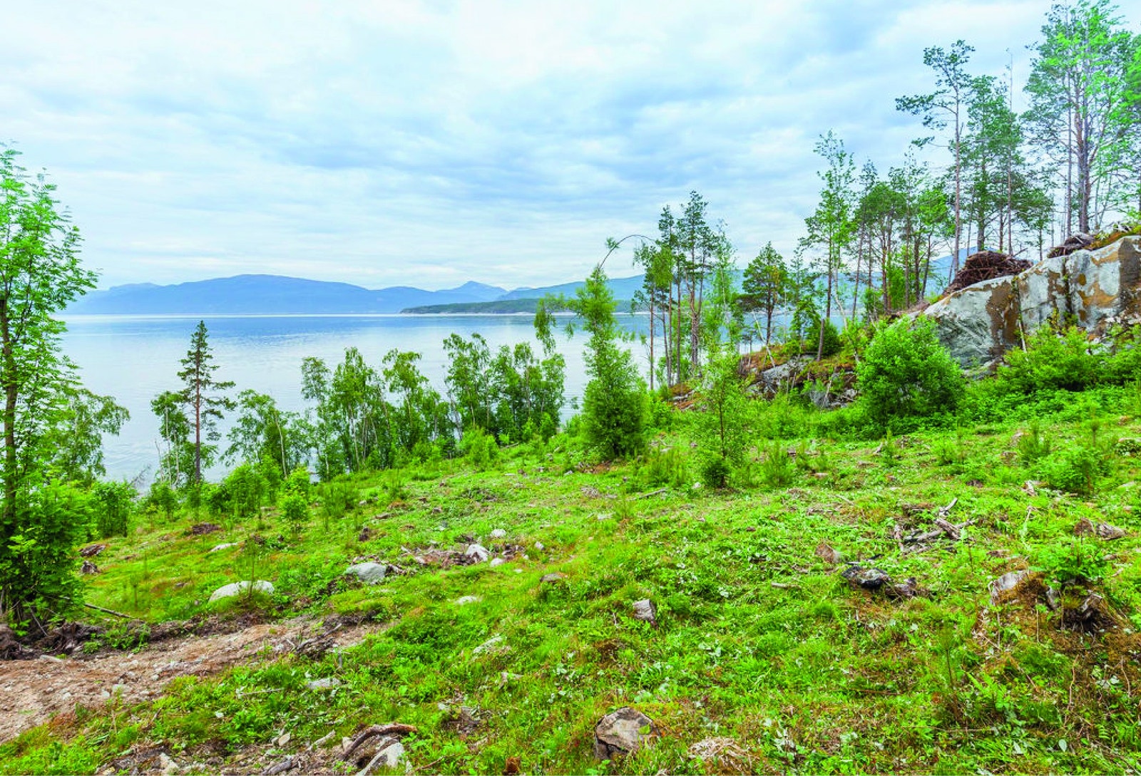 Tomt nr. 2 Galleribilde