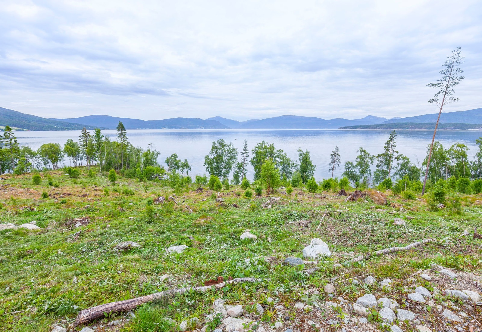 Tomt nr. 4 Galleribilde