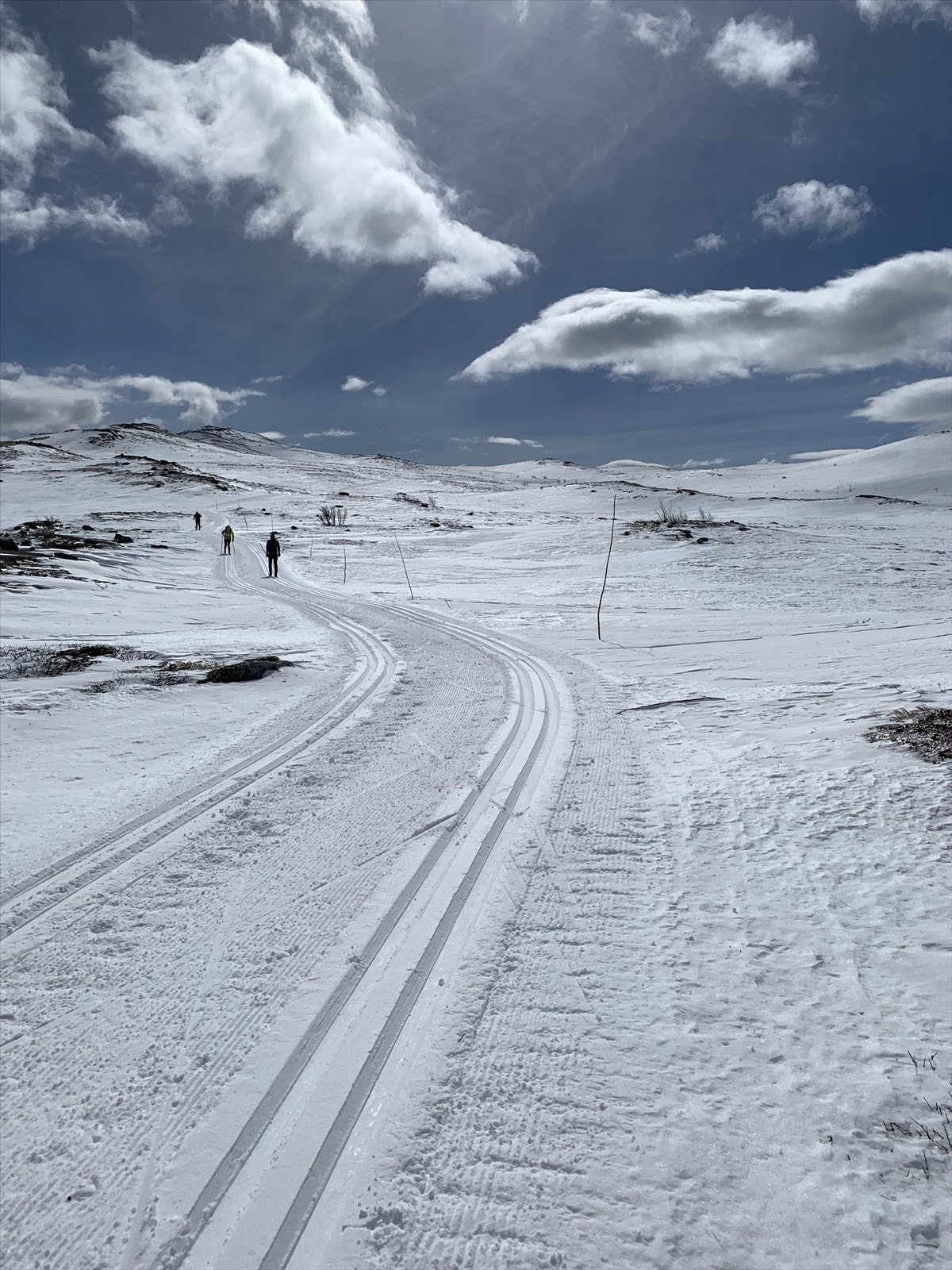 Påskeføre Galleribilde