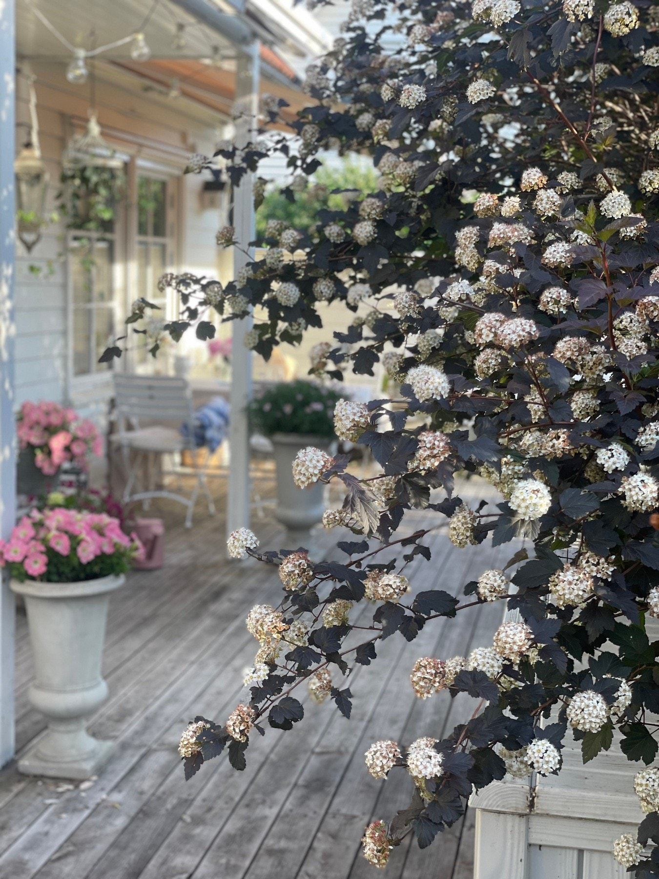 Selgers bilde. Galleribilde