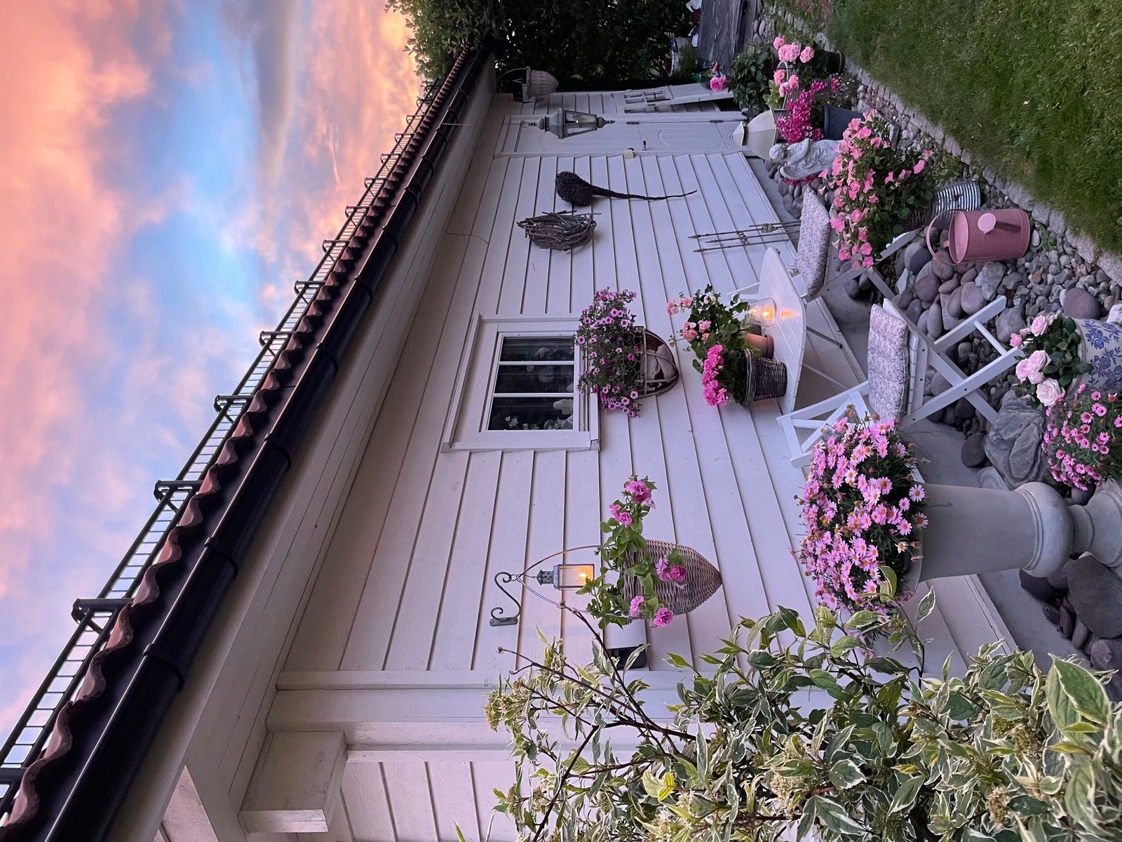 Selgers bilde. Galleribilde