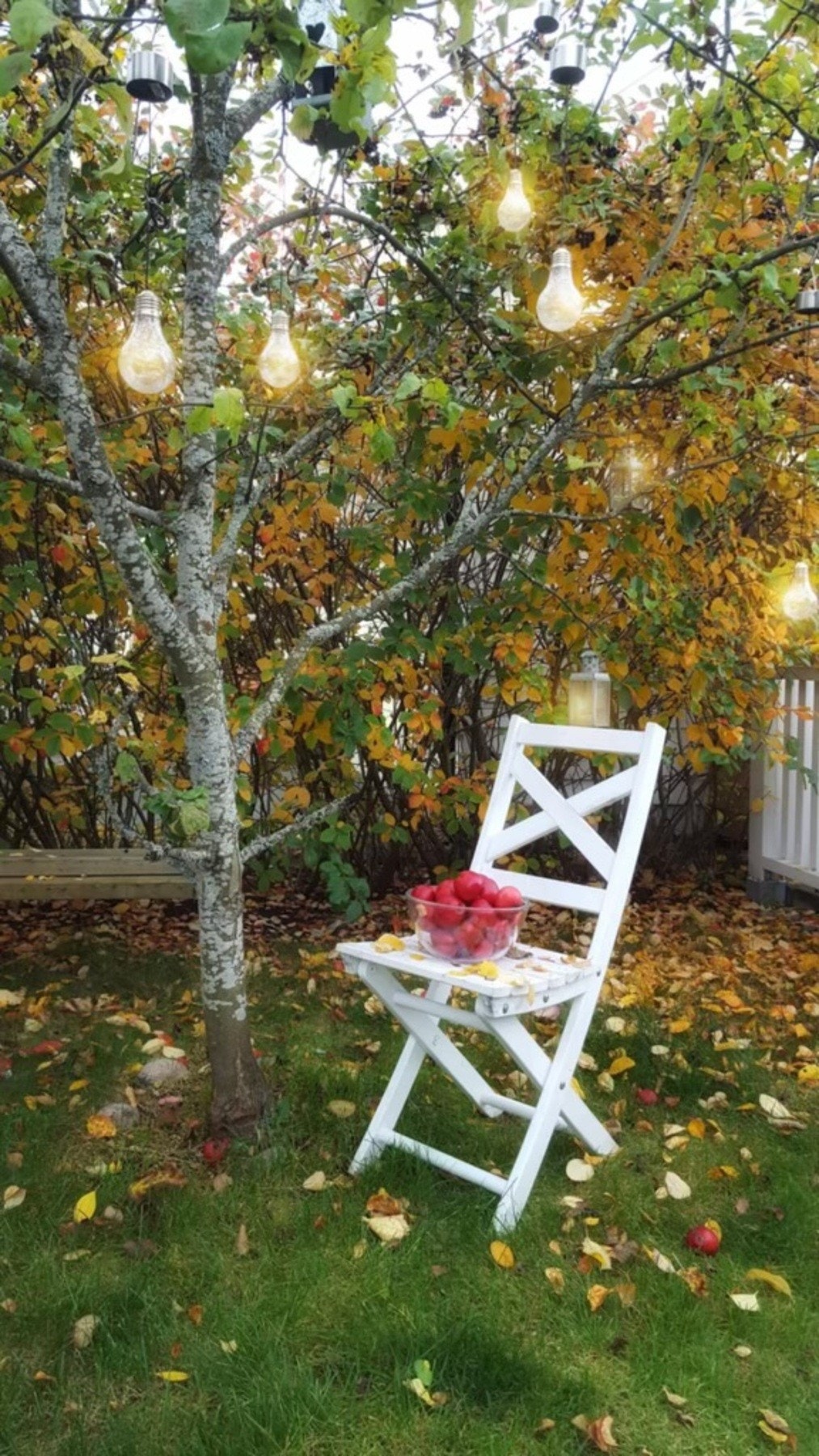 Selgers bilde. Galleribilde