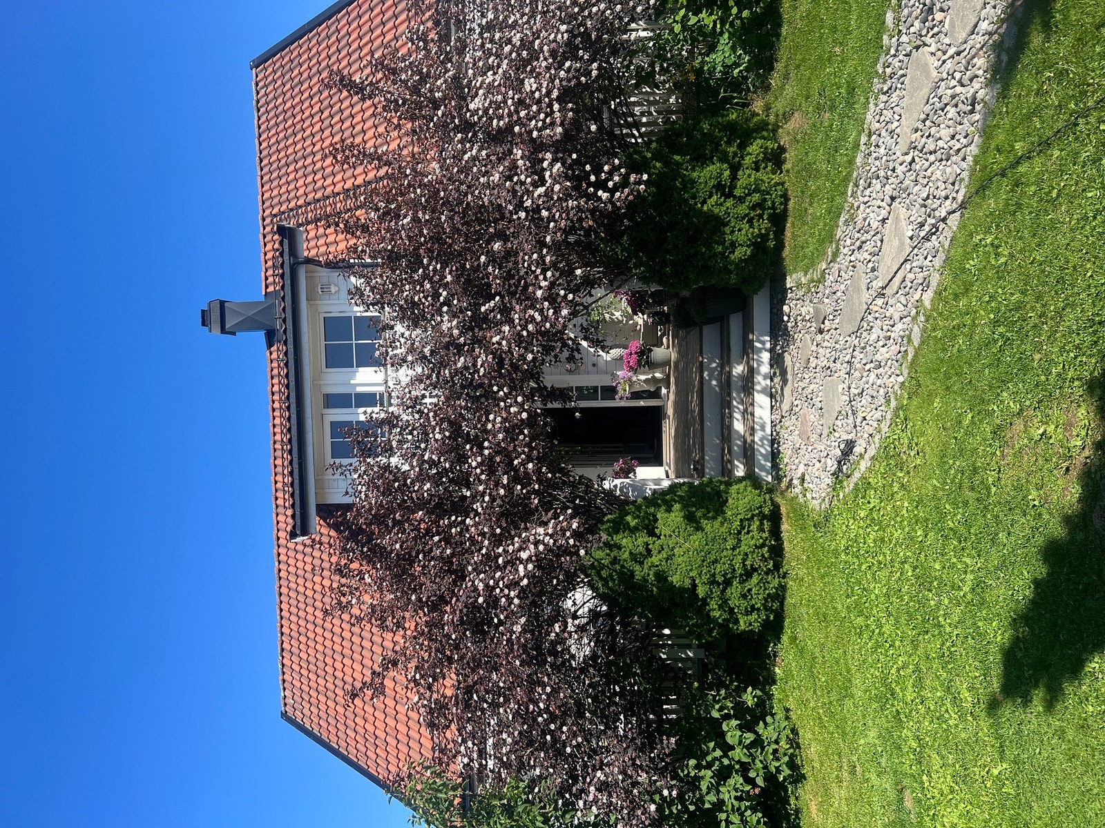 Selgers bilde. Galleribilde