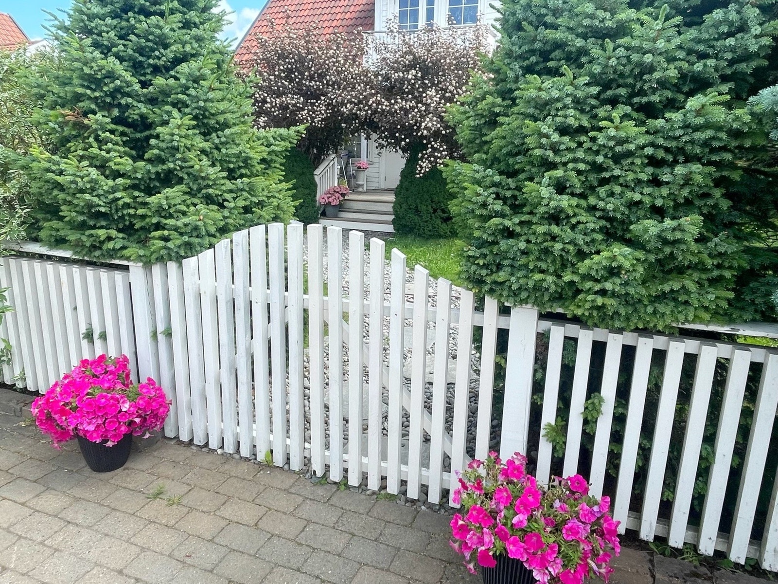 Selgers bilde. Galleribilde