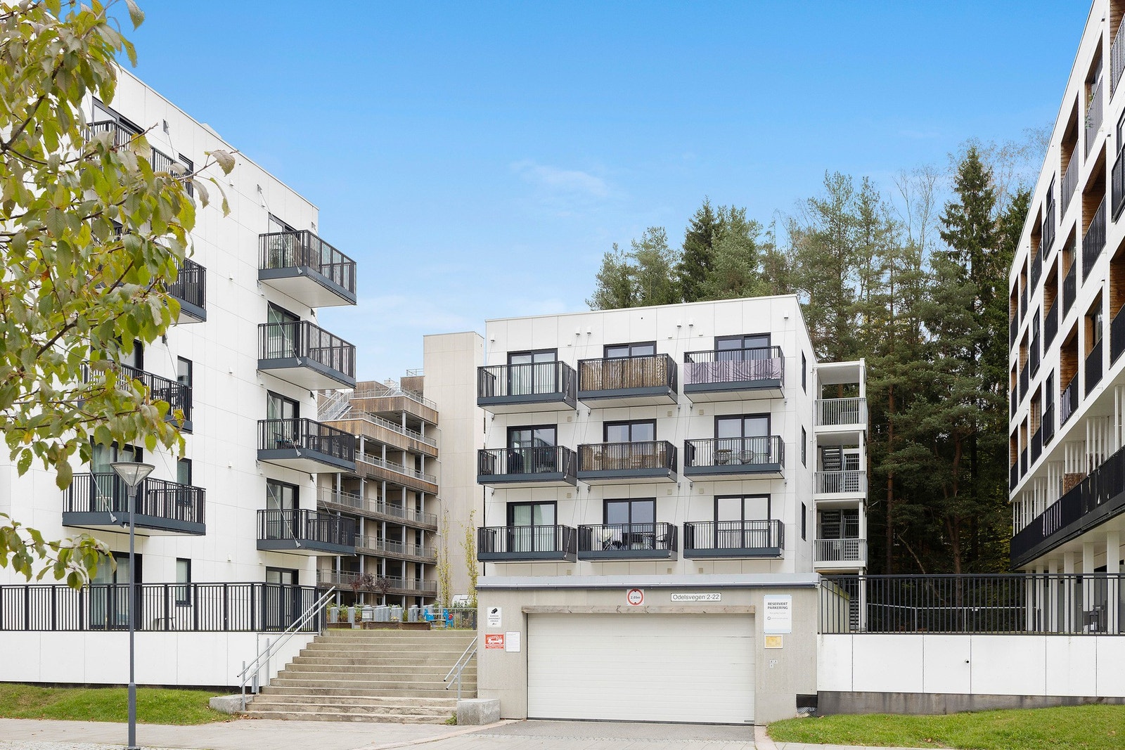 Velkommen. Galleribilde