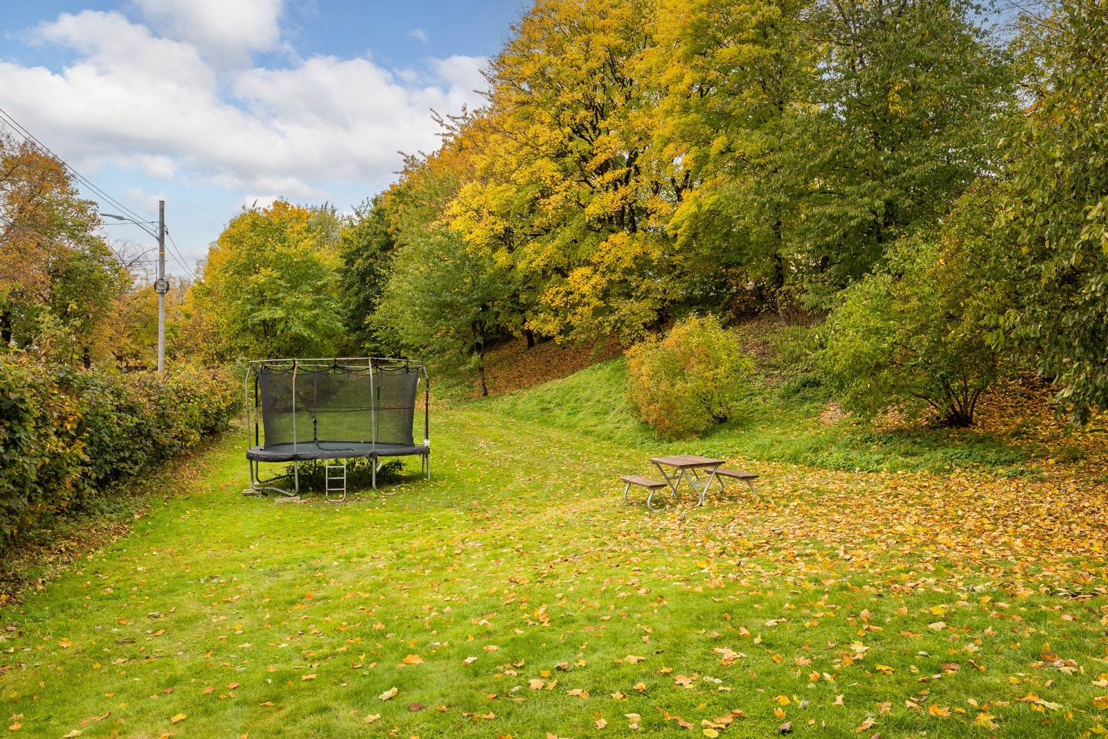 Å bo på Keyserløkka er som å bo i en park. Galleribilde
