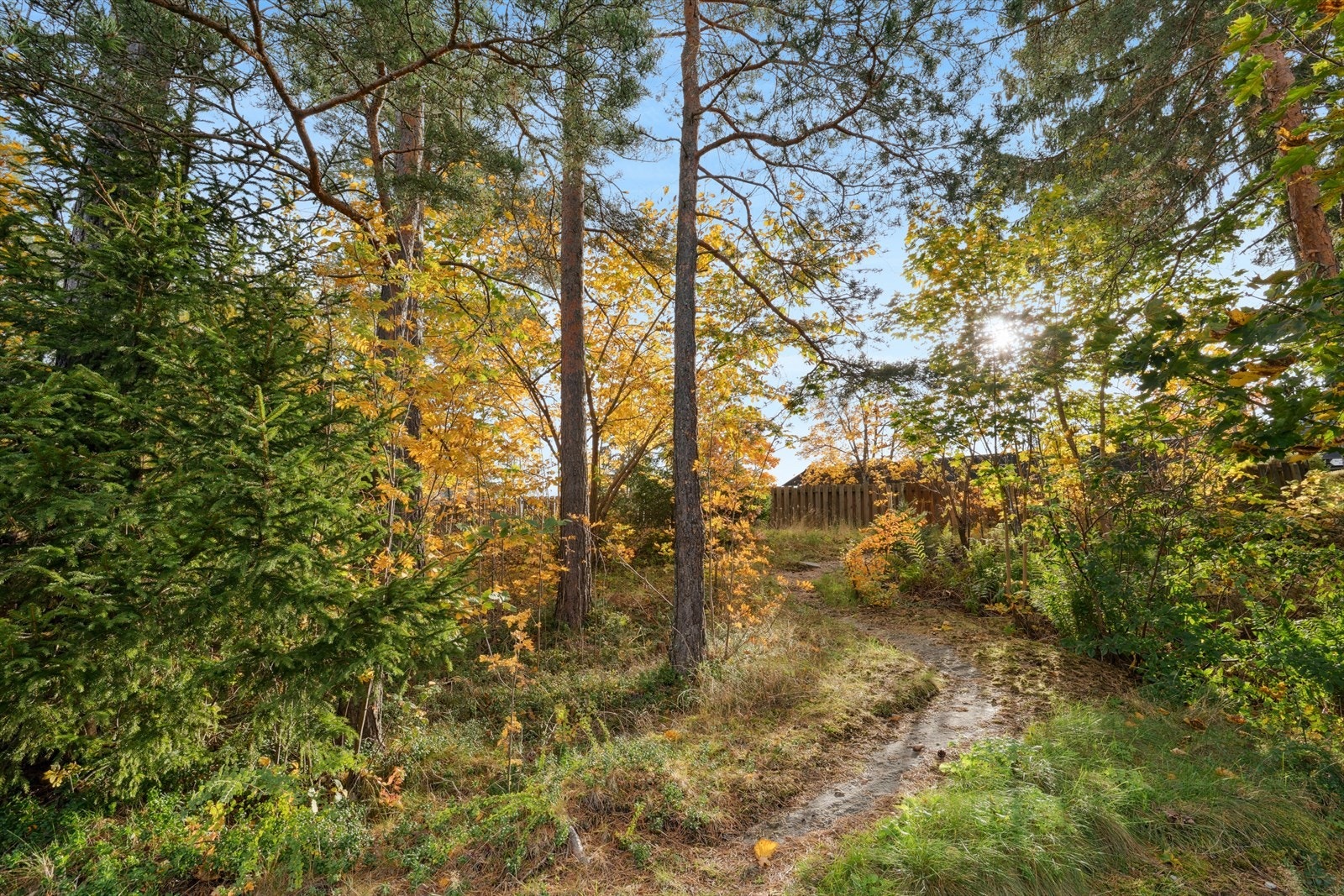 Flotte grøntområder i tilknytning til uteplassen. Galleribilde