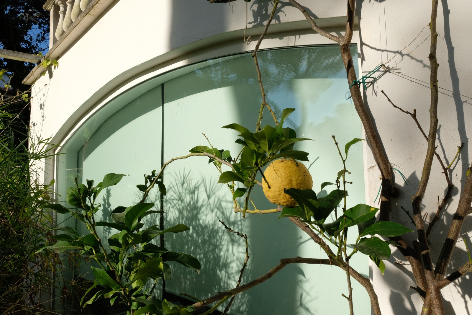 Vakkert. Galleribilde