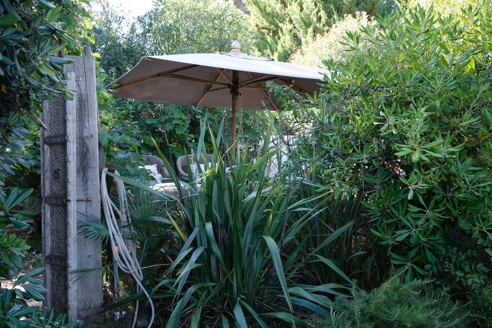 En grønn oase. Galleribilde