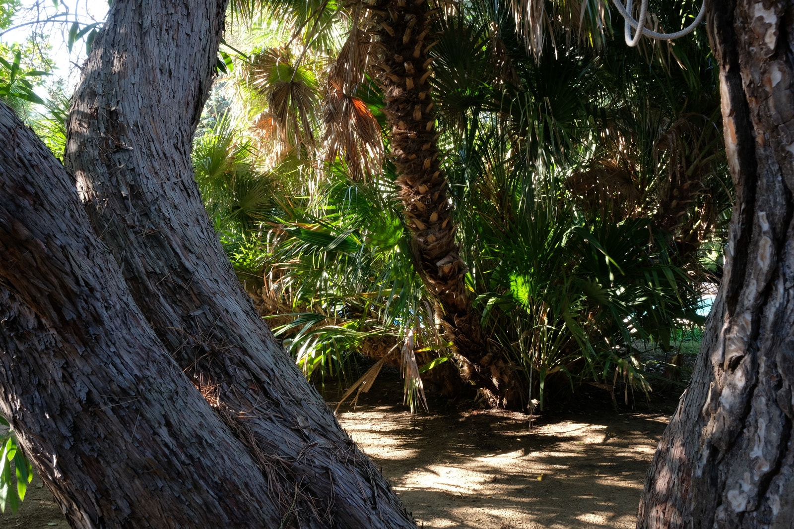 Into The Wild! Vi beveger oss rundt i hagen. Galleribilde