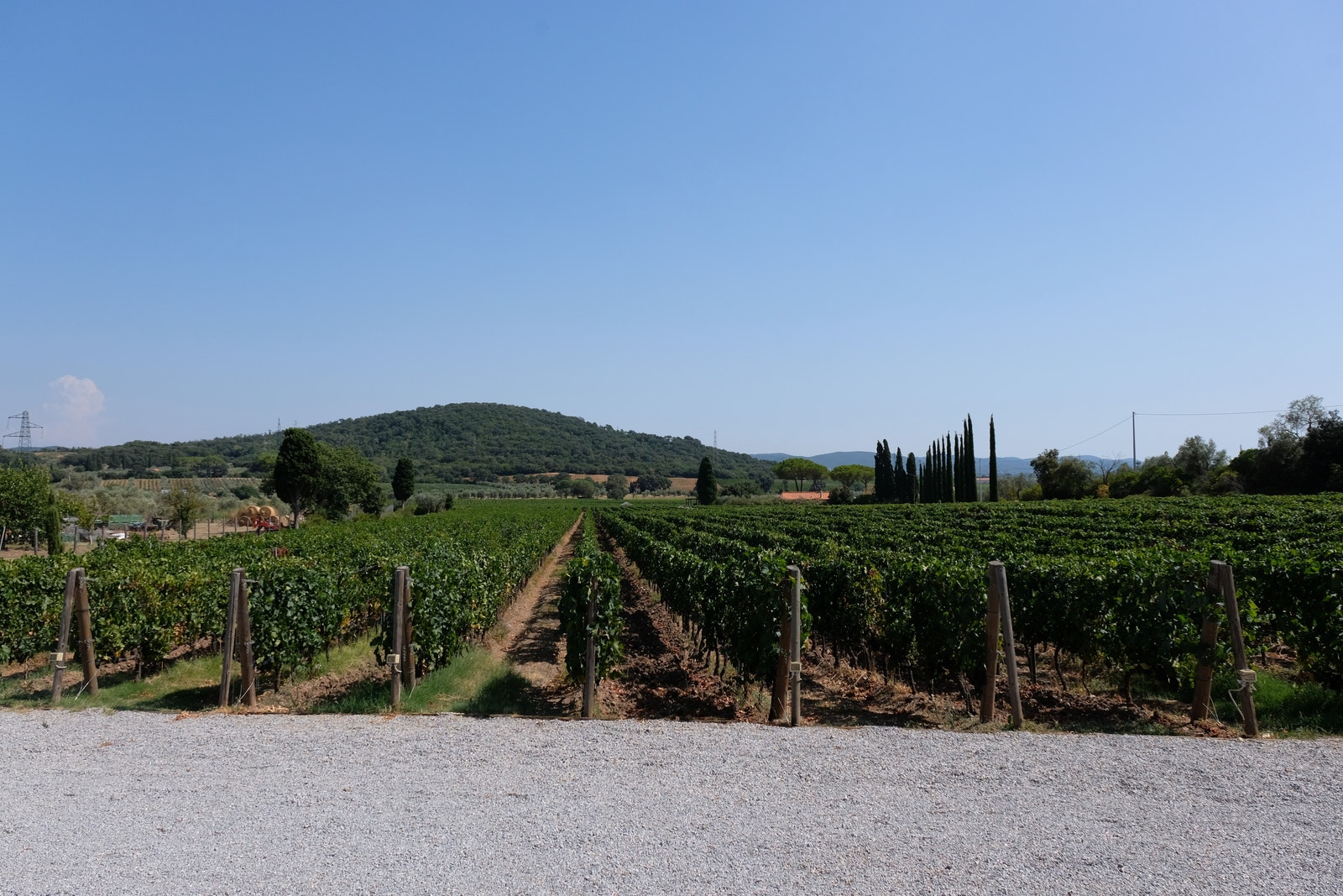 Vi er og nær det vakre vindistriktet Bolgheri! Galleribilde