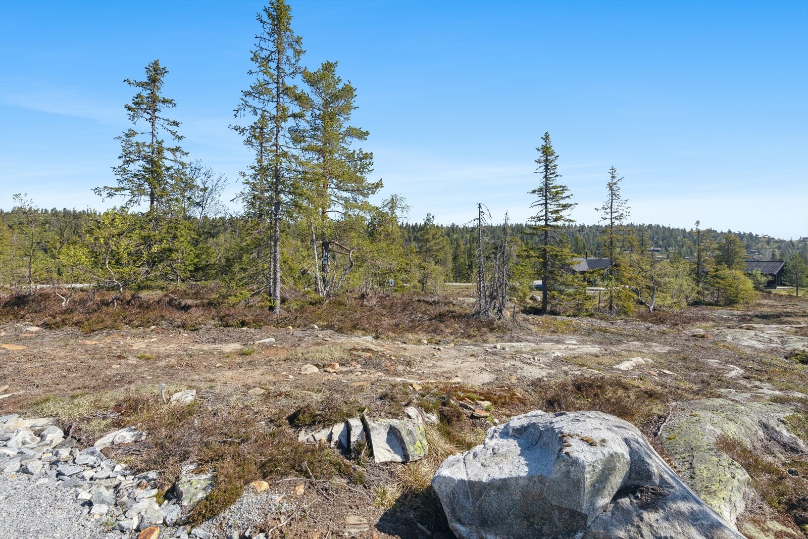 Tomten er relativt flat og ligger nær til vei og andre fritidsboliger. Galleribilde