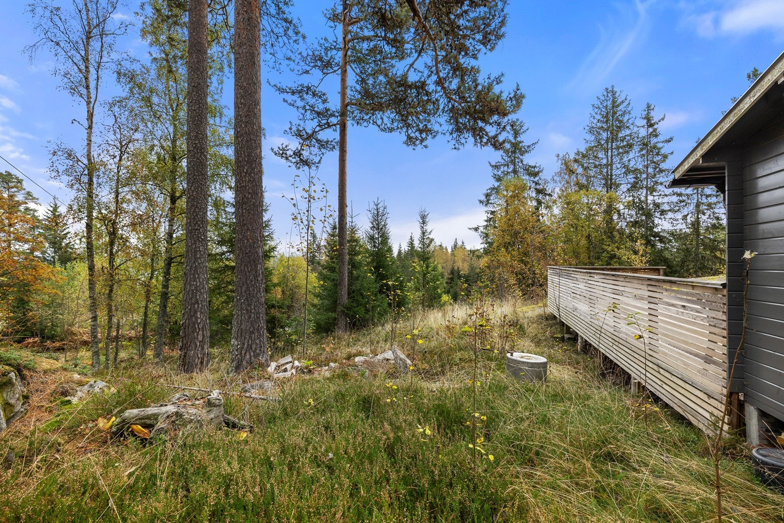 Fra terrassen har man utsikt mot omkringliggende natur og skogsområde. Galleribilde
