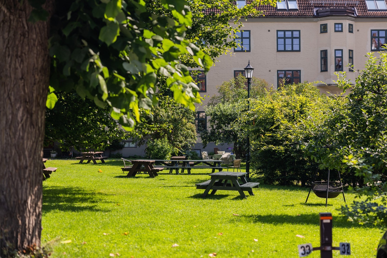 Grønn oase i bakgården Galleribilde