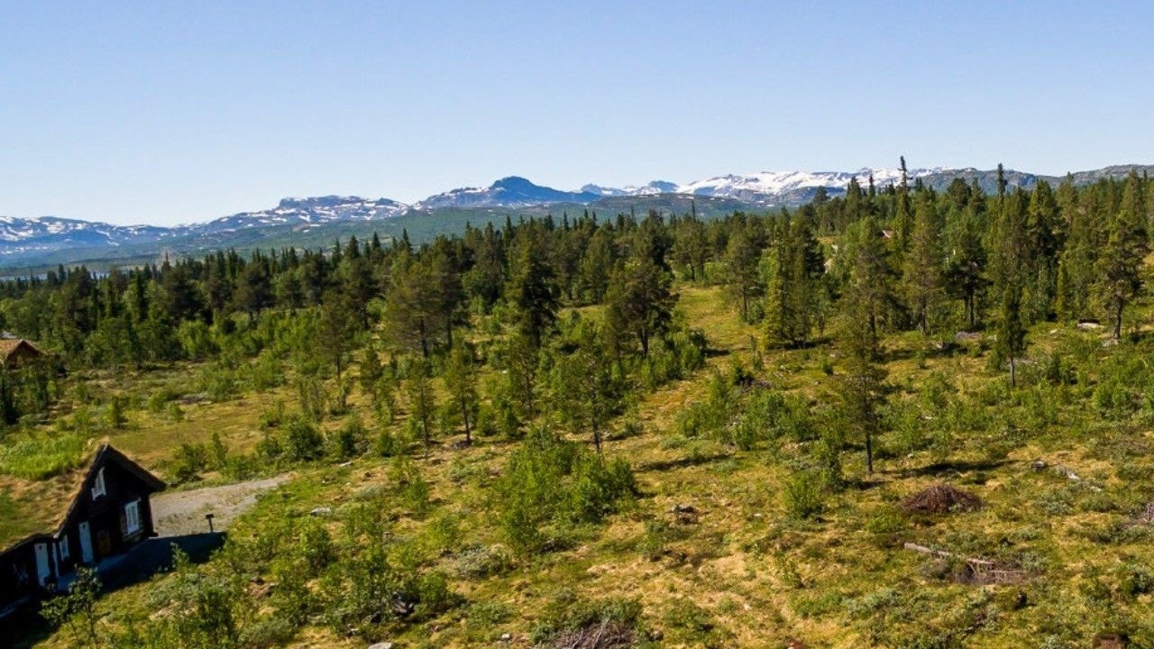Mot Jotunheimen og Bitihorn i senter Galleribilde