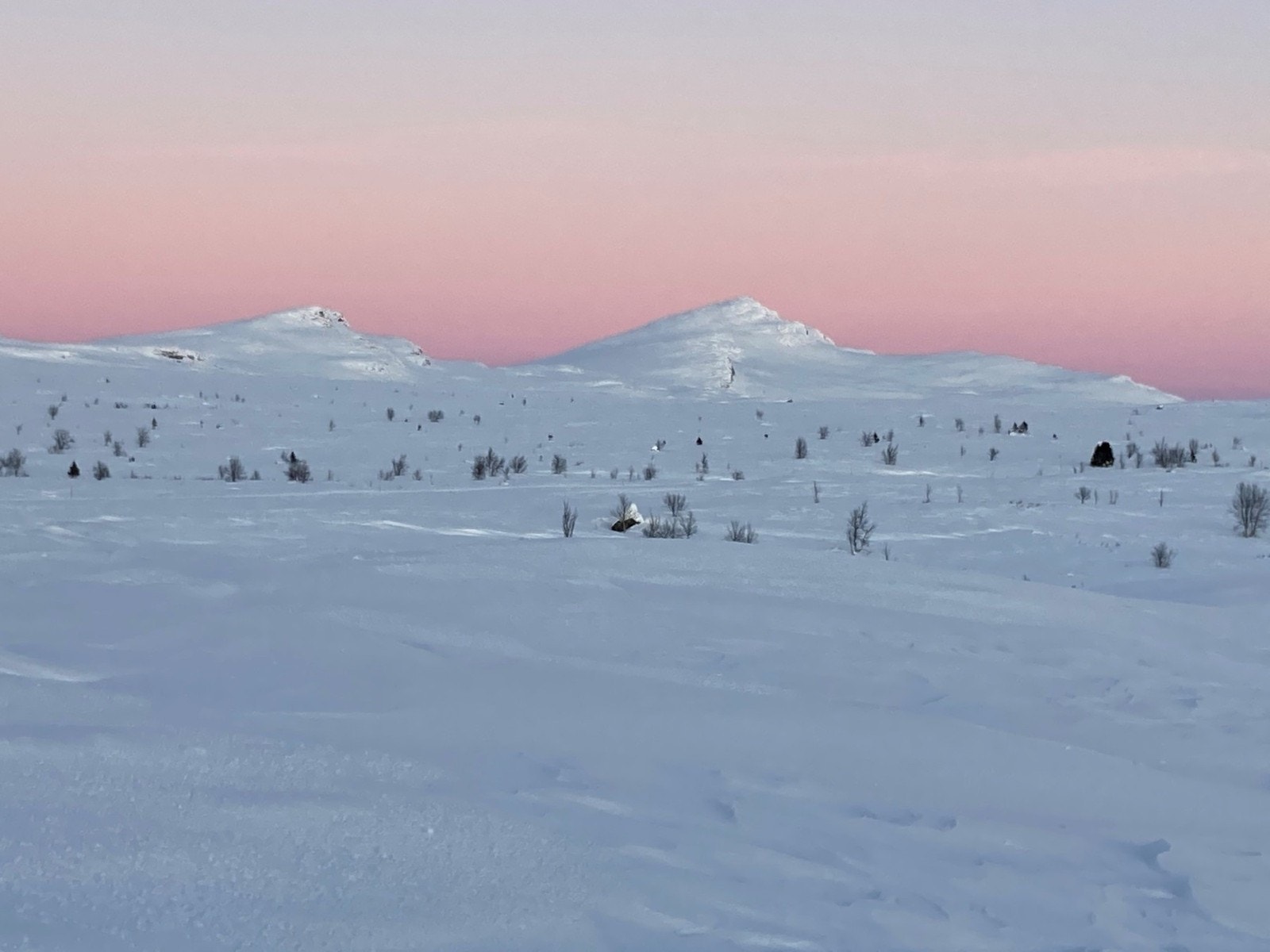 Skaget - høyeste fjellet i Langsua nasjonalpark Galleribilde