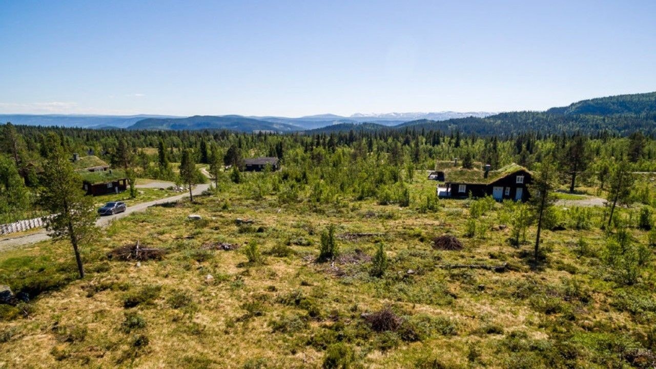 Mot sør Galleribilde