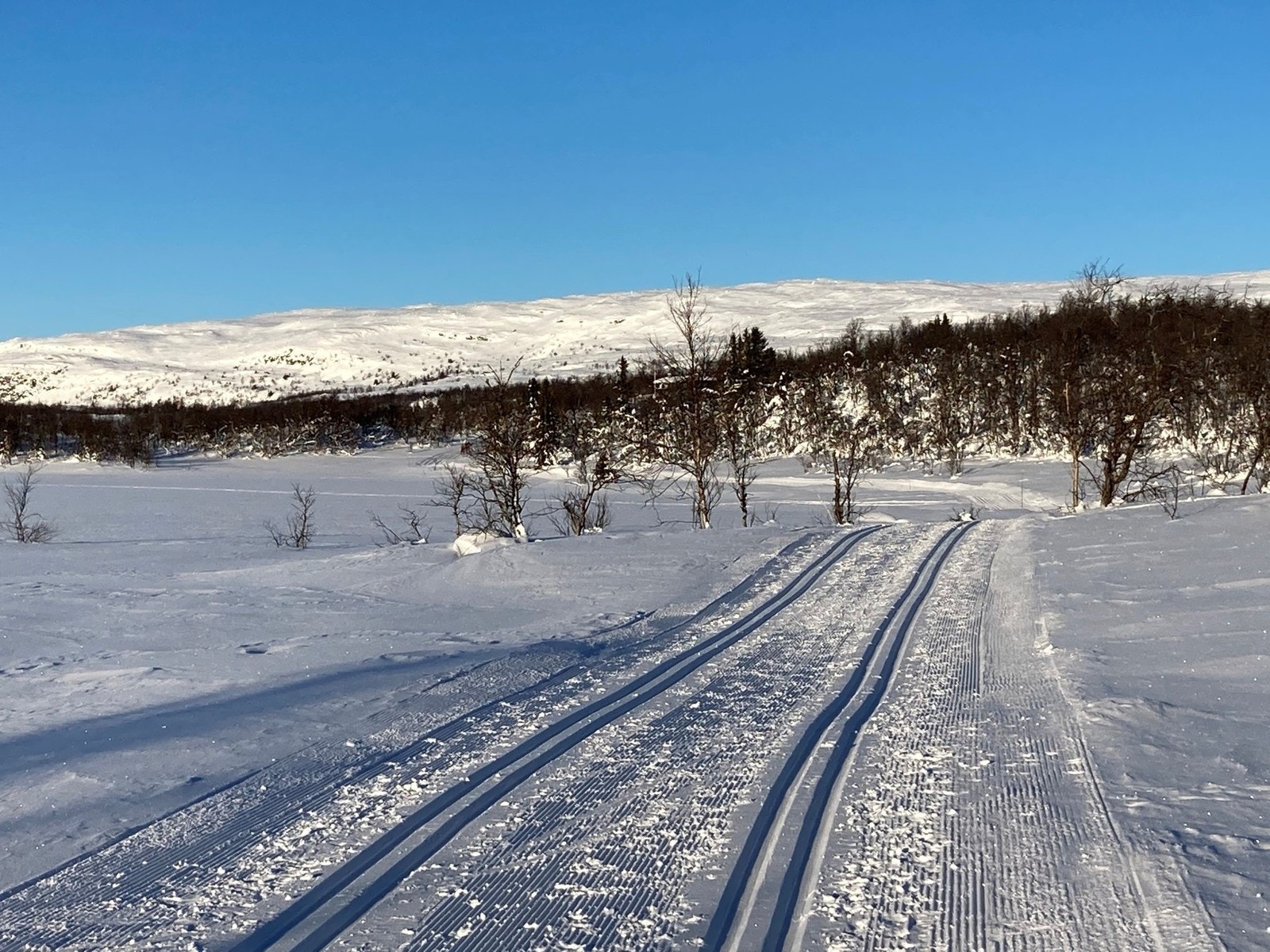 Flotte skiløyper i området Galleribilde