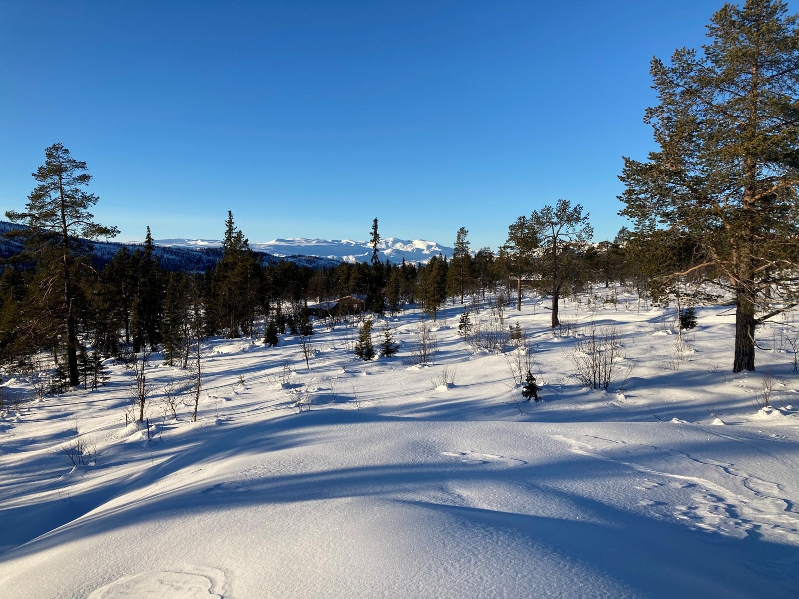 Utsikt mot Slettefjell og Mugnetinden Galleribilde
