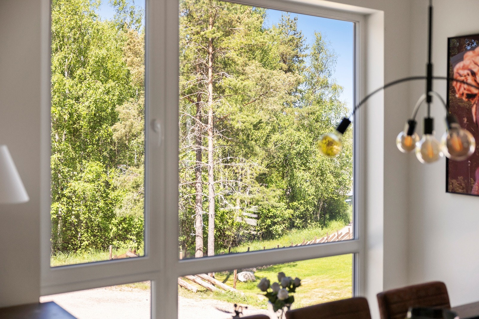 Utsikt til naturen Galleribilde