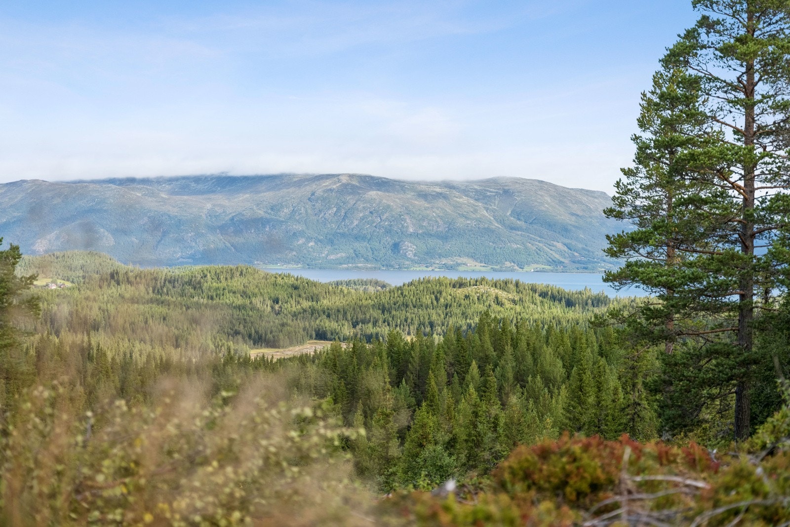 Flotte turområder i umiddelbar nærhet Galleribilde