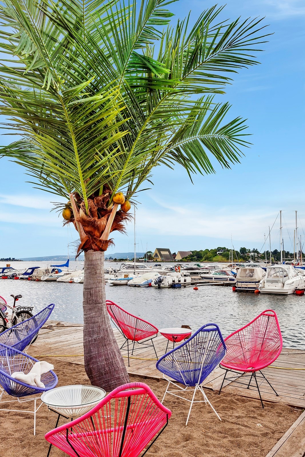 Kort vei også til Kongen Marina Beach Club Bar & Restaurant Galleribilde