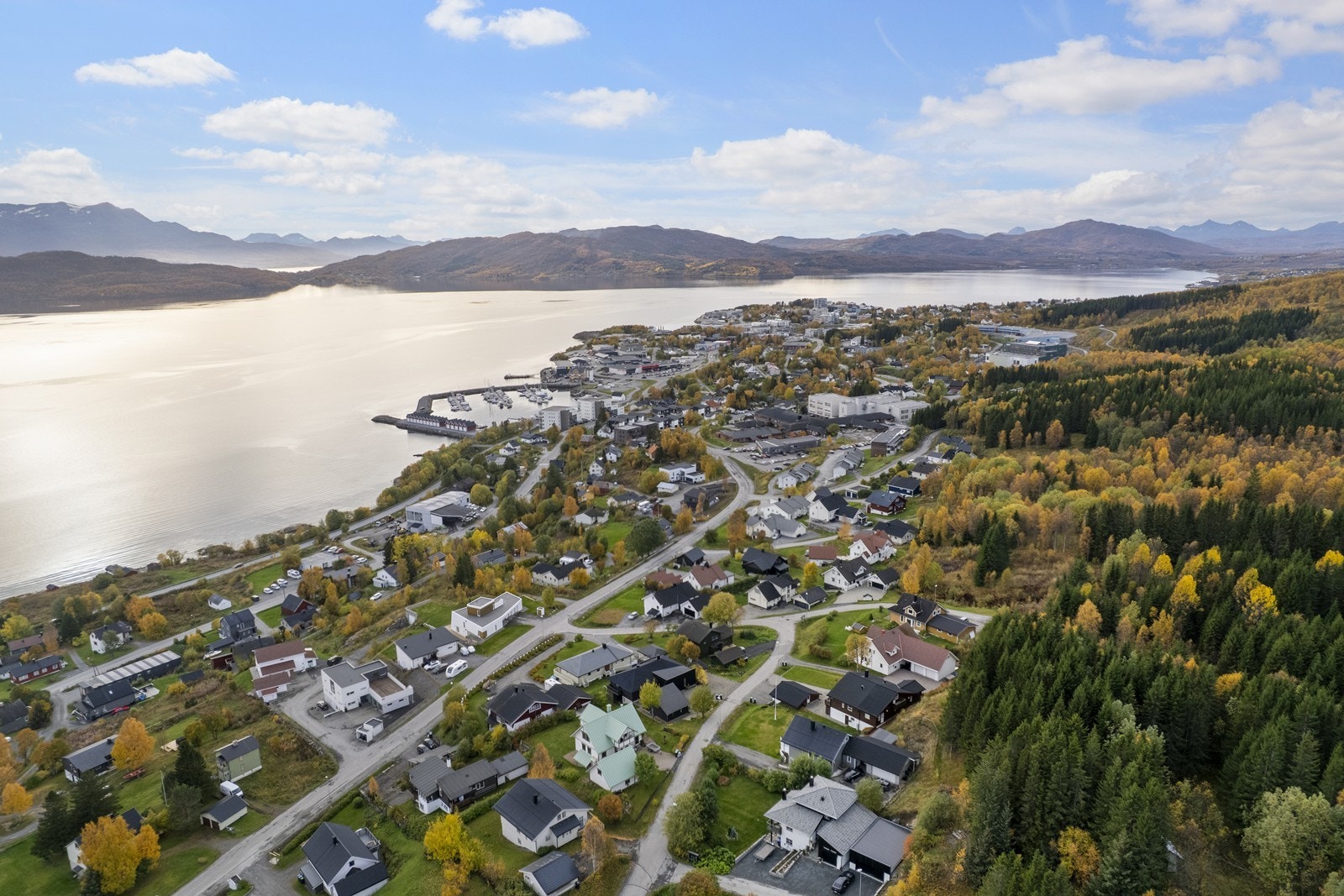 Velkommen til visning! Galleribilde