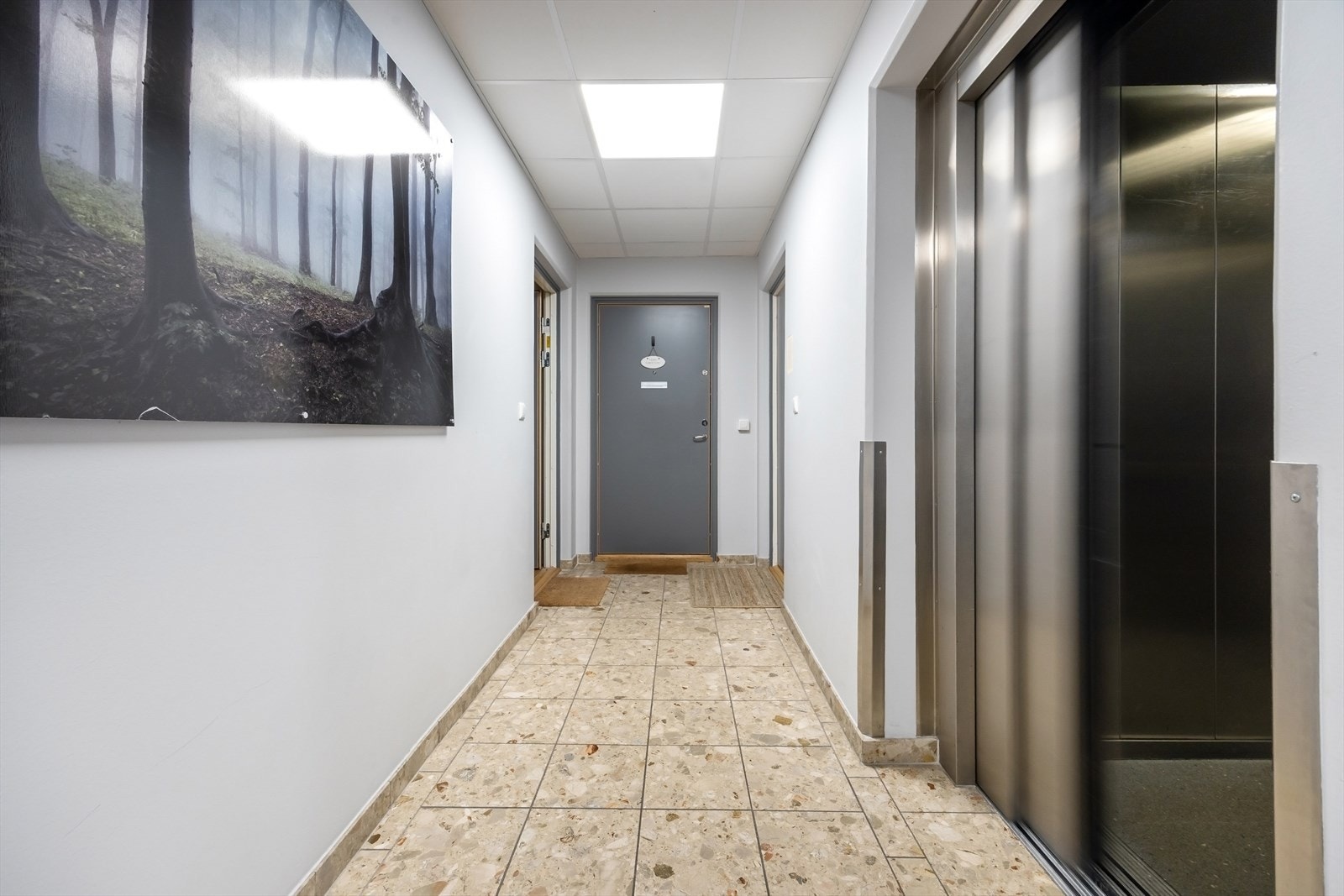 Det er heis i bygget. Galleribilde