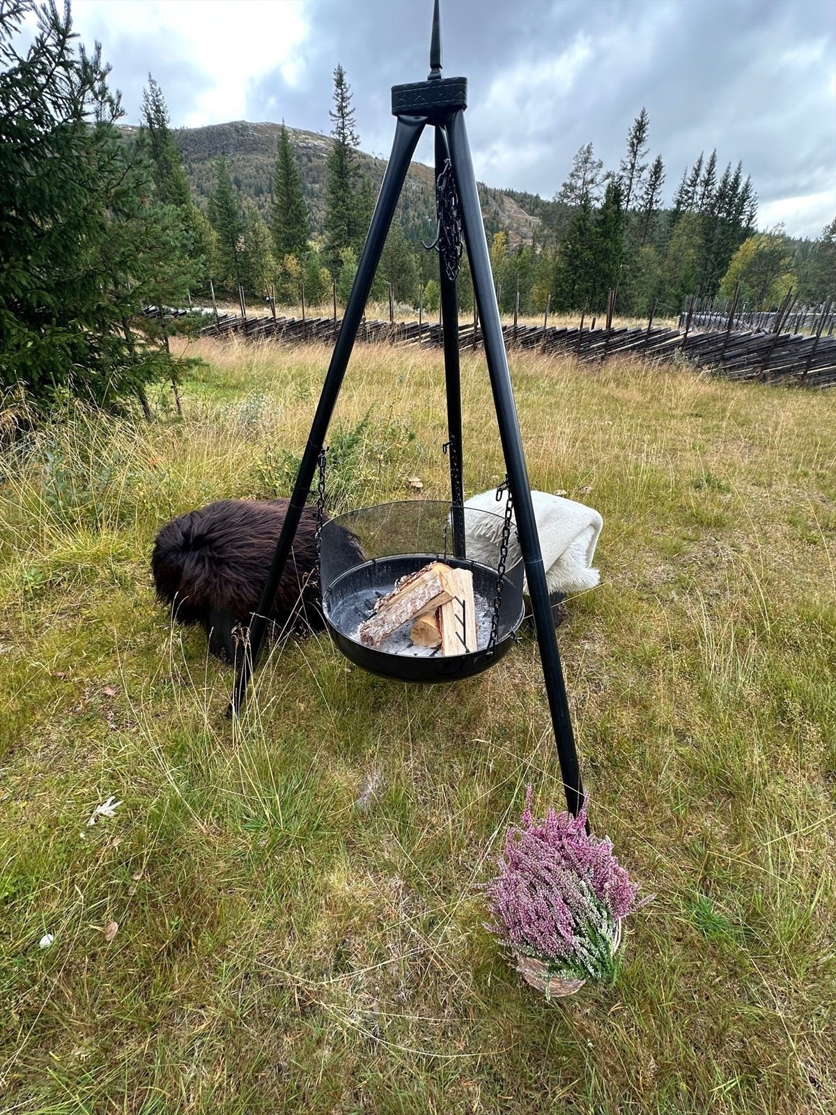 Bålplass like utenfor hytta. Galleribilde