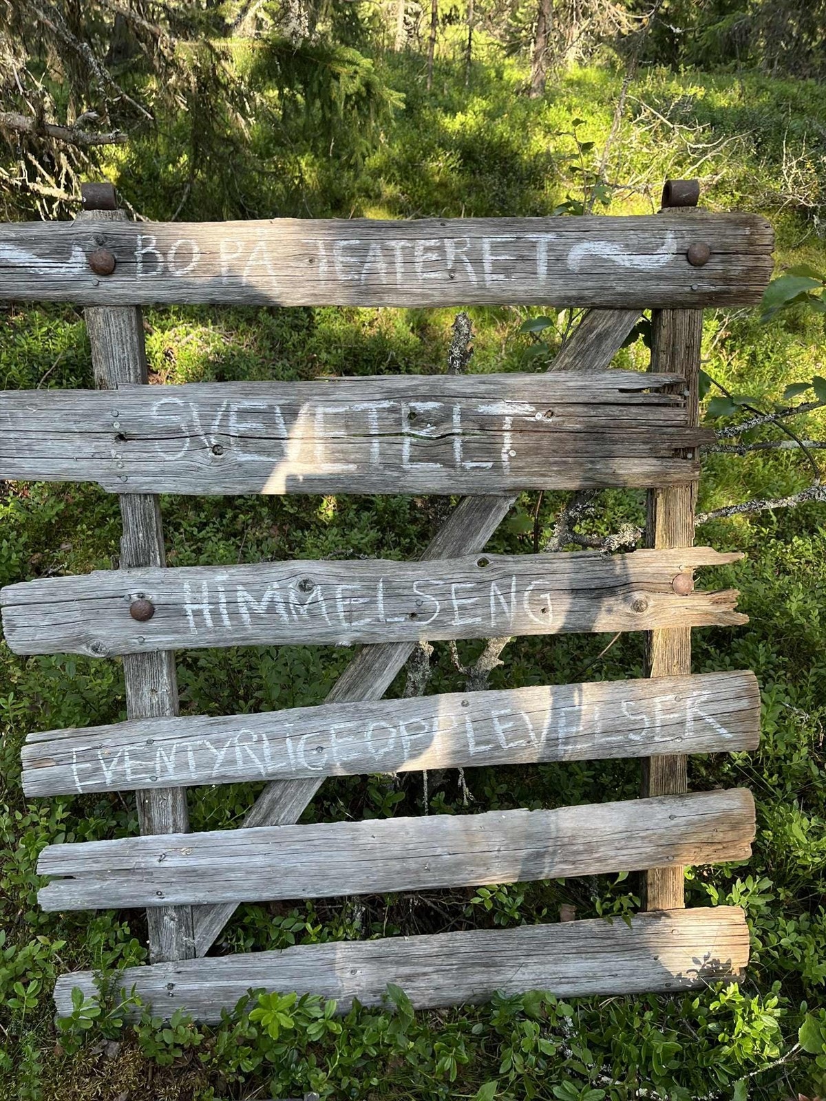 Eventyrlige opplevelser på Gålå Galleribilde