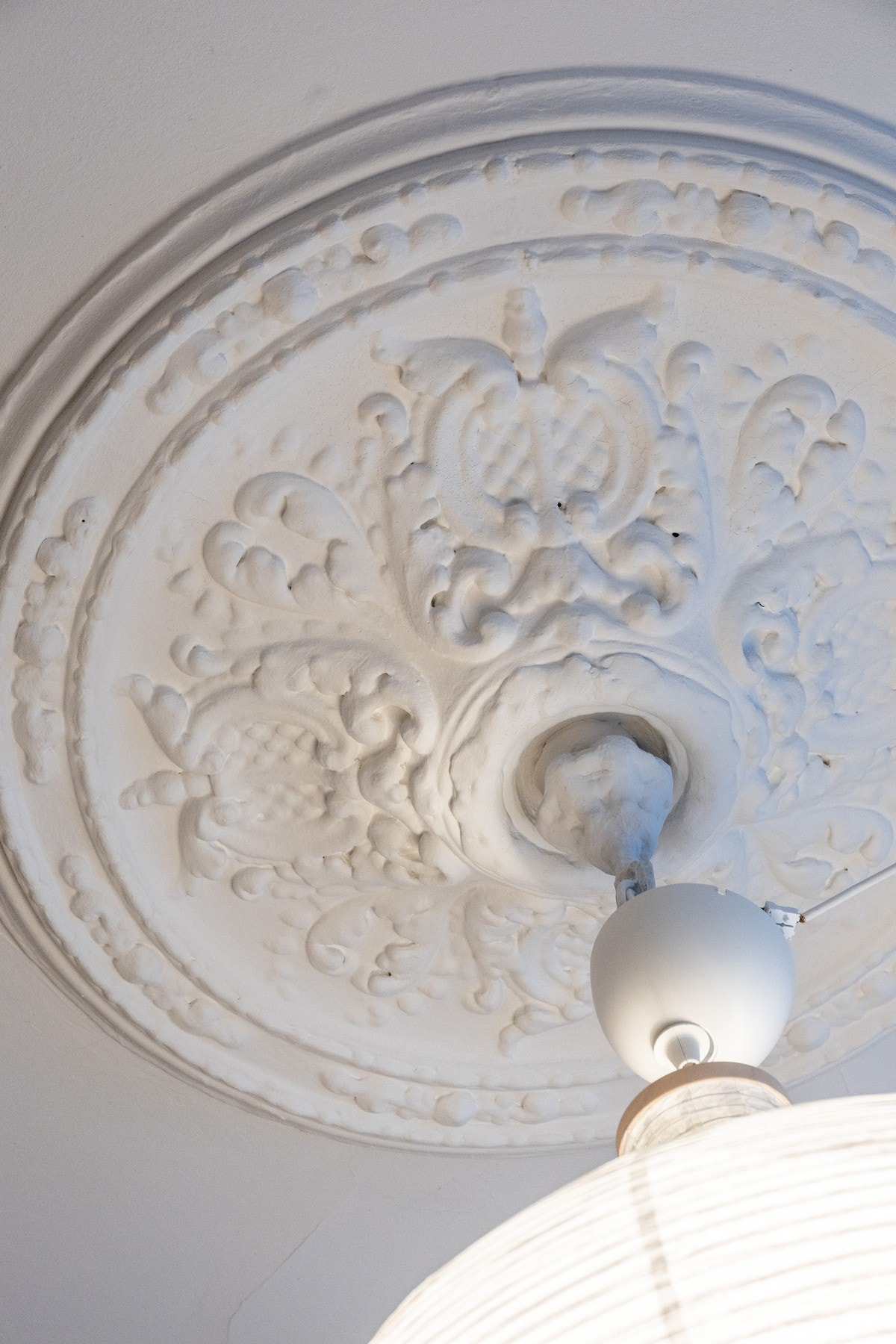 Vakker rosett i himlingen setter prikken over i'en Galleribilde