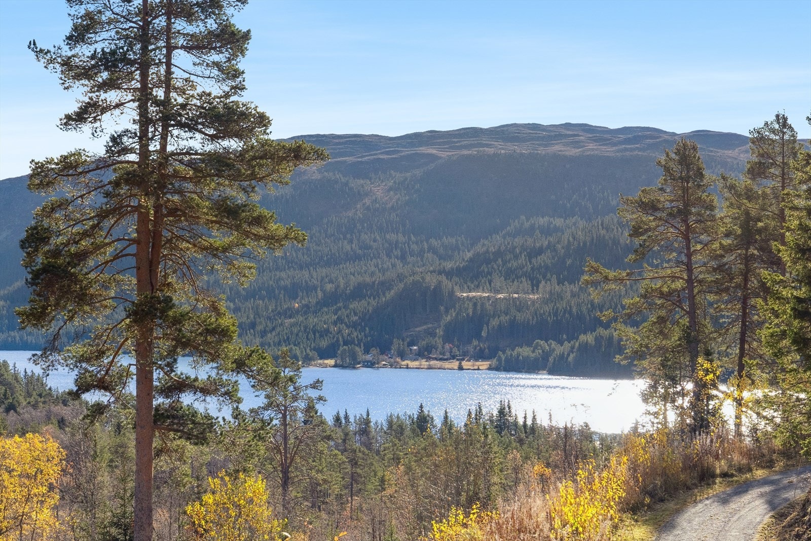Nydelig utsikt over naturen i nærområdet! Galleribilde