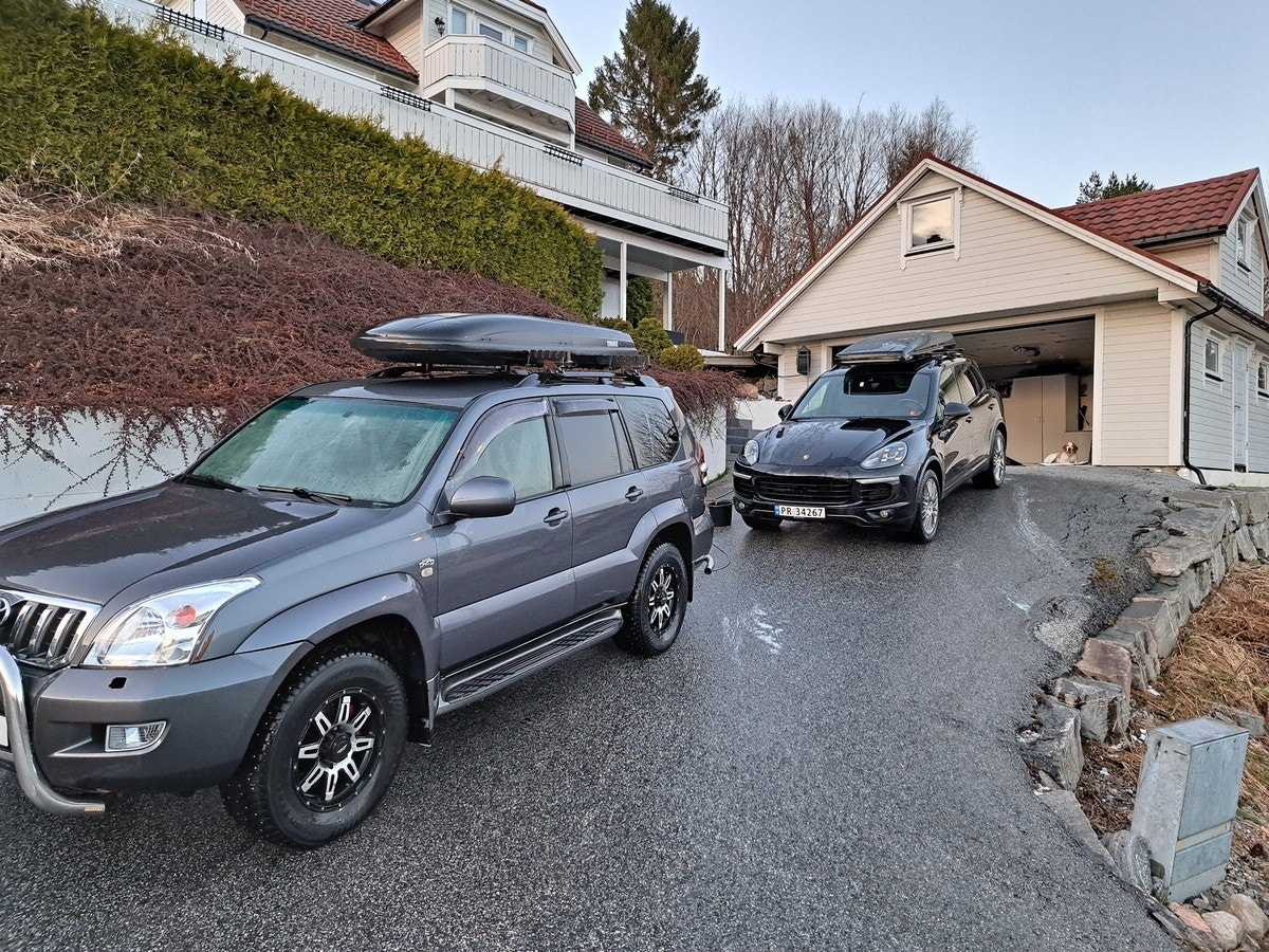 Nesbakken 2 Galleribilde