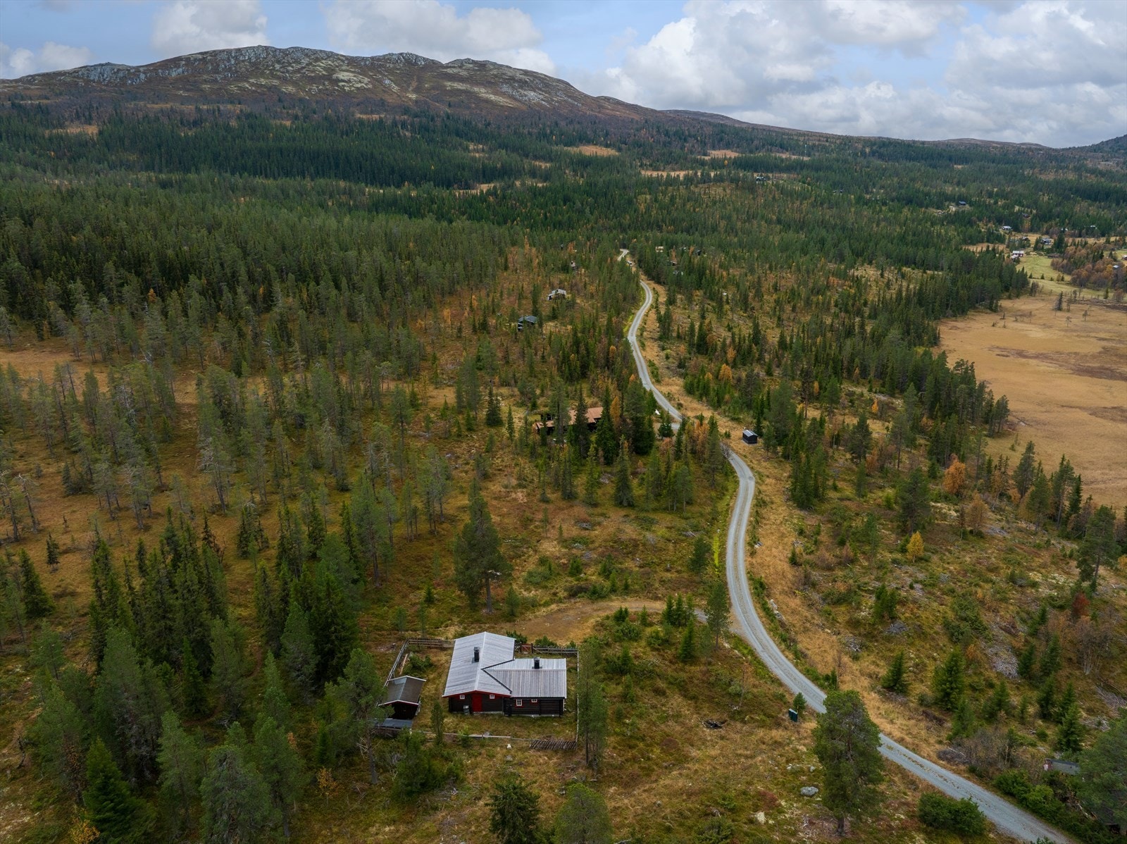 I bakrunnen ses Fetjafjell med kommunens høyeste topp, Hallingnatten, 1314 moh., som er et turmål for mange. Galleribilde